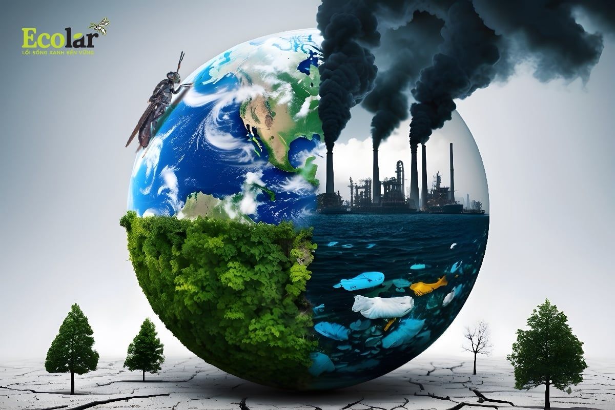 BSFly Góp Phần Vào SDG 13 – Ứng Phó Biến Đổi Khí Hậu