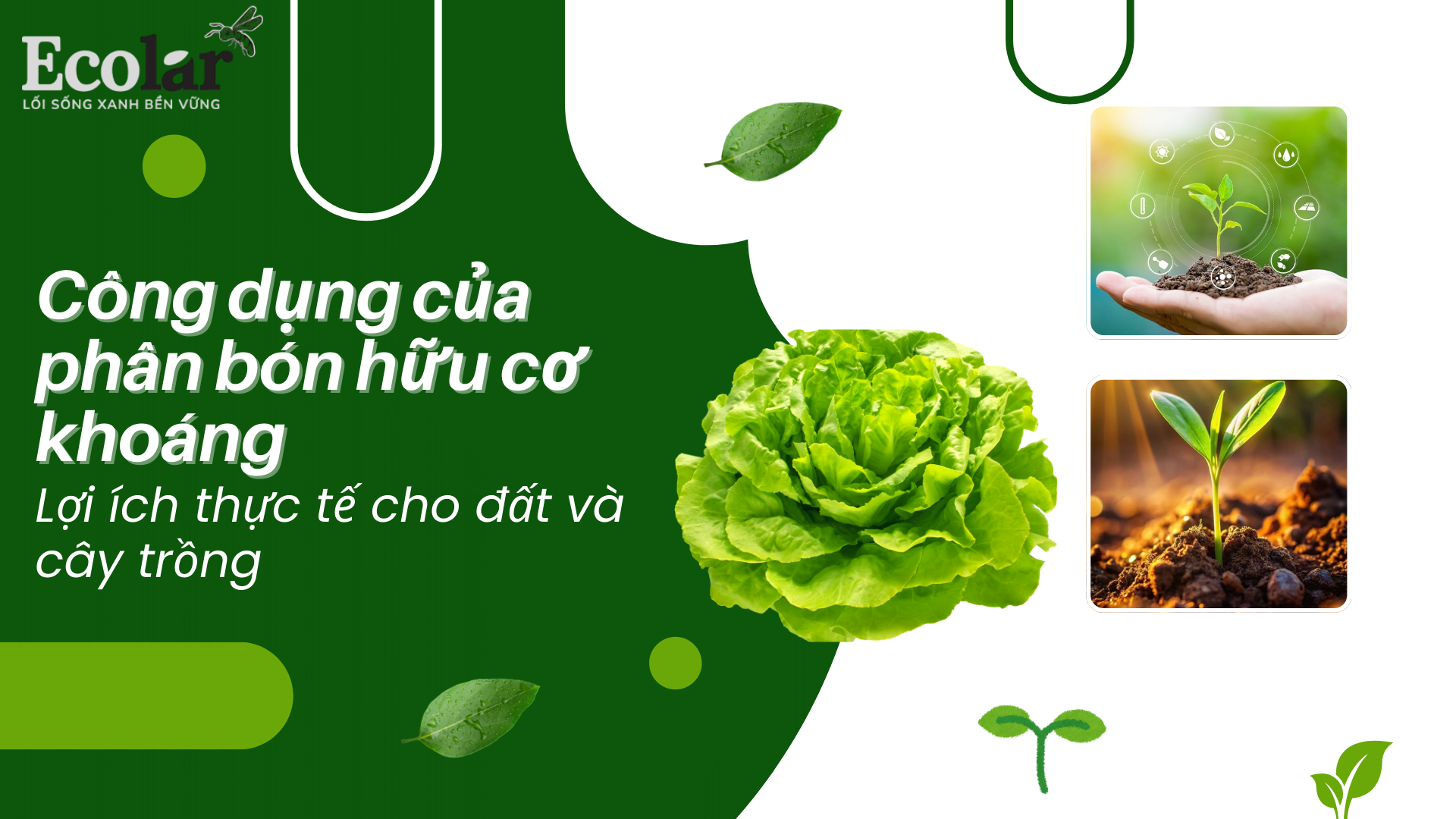 Công dụng của phân bón hữu cơ khoáng: Lợi ích thực tế cho đất và cây trồng