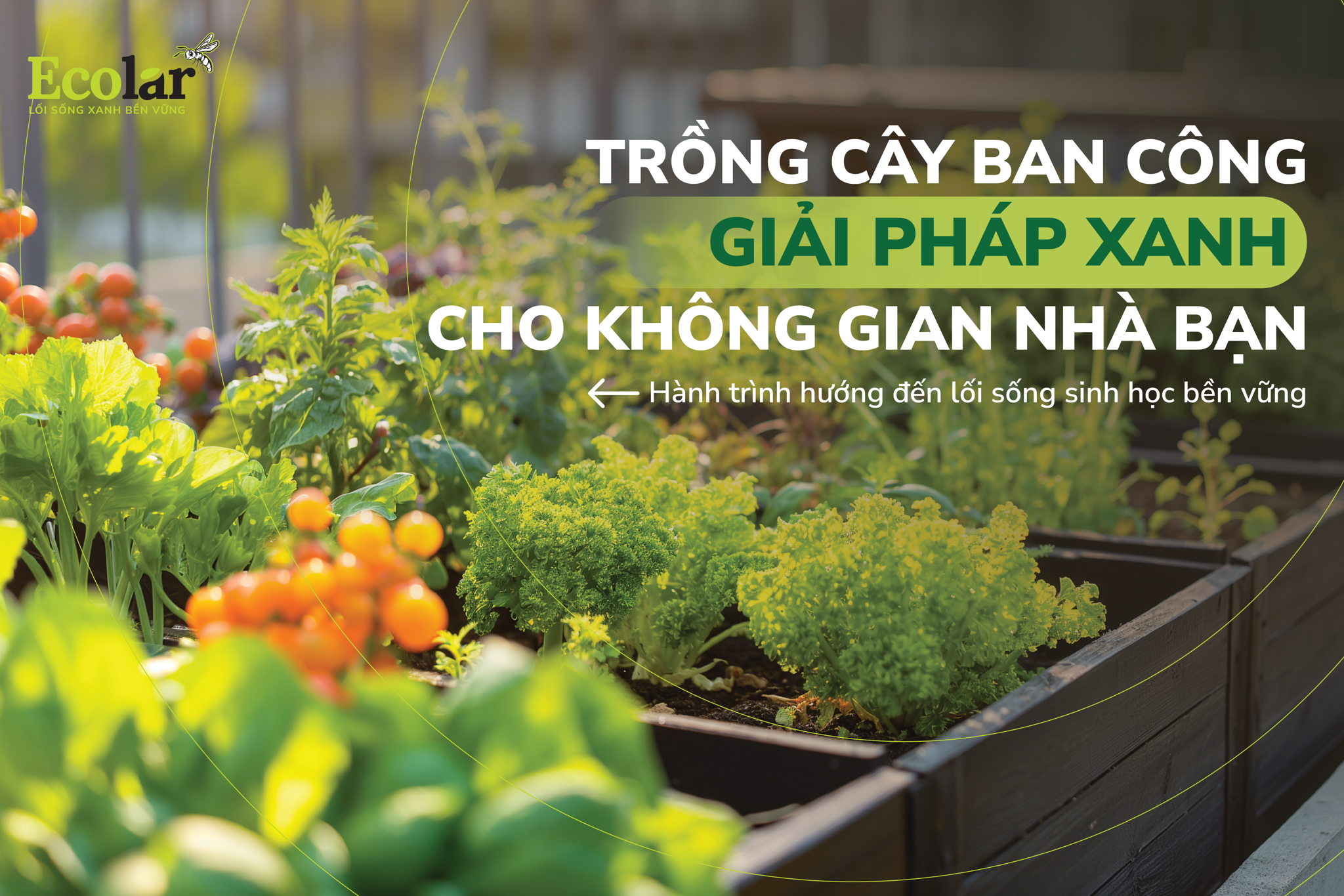 Trồng Rau Ban Công - Giải Pháp Xanh Cho Không Gian Nhà Bạn