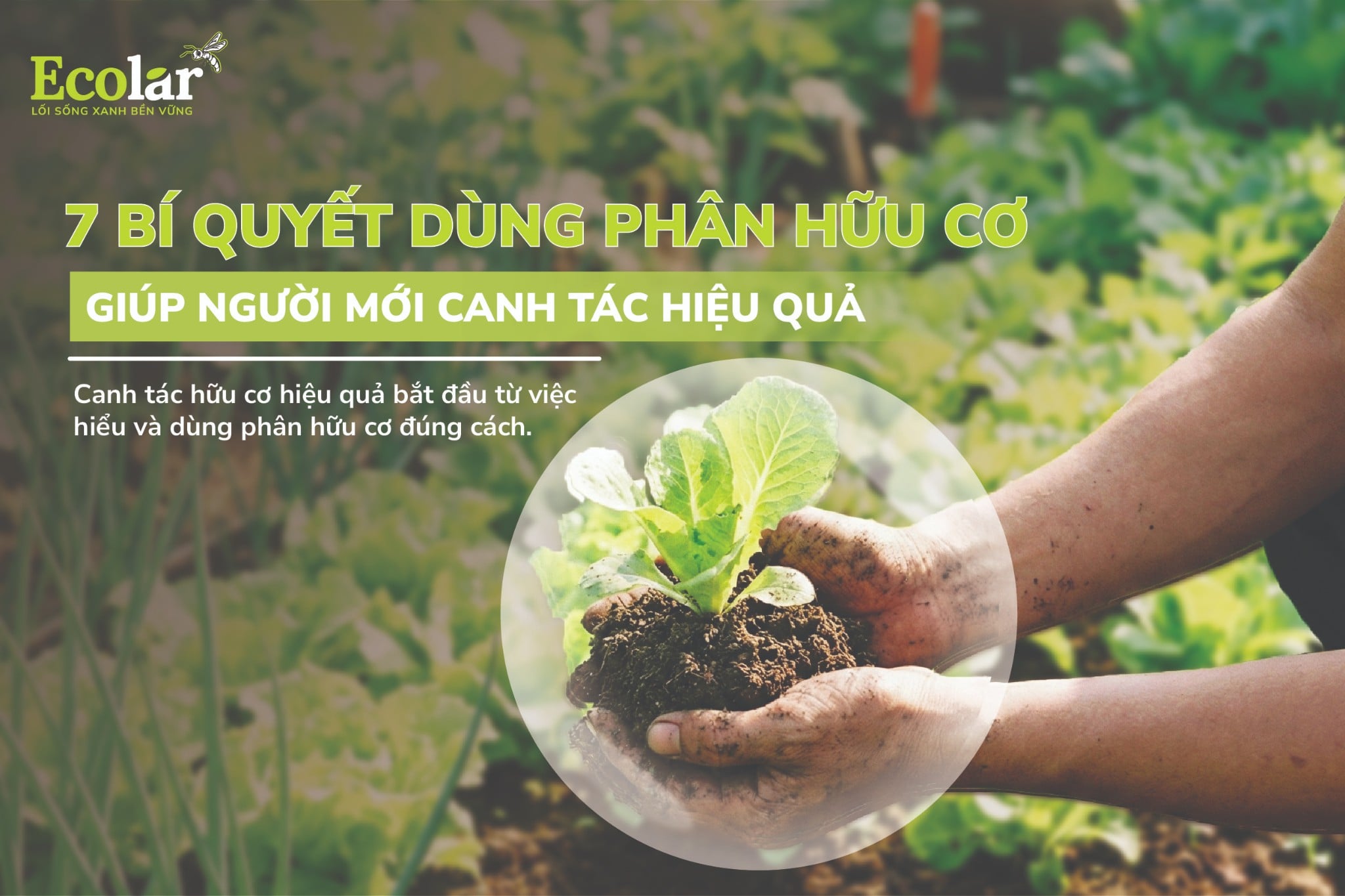 7 bí quyết dùng phân hữu cơ giúp người mới canh tác hiệu quả