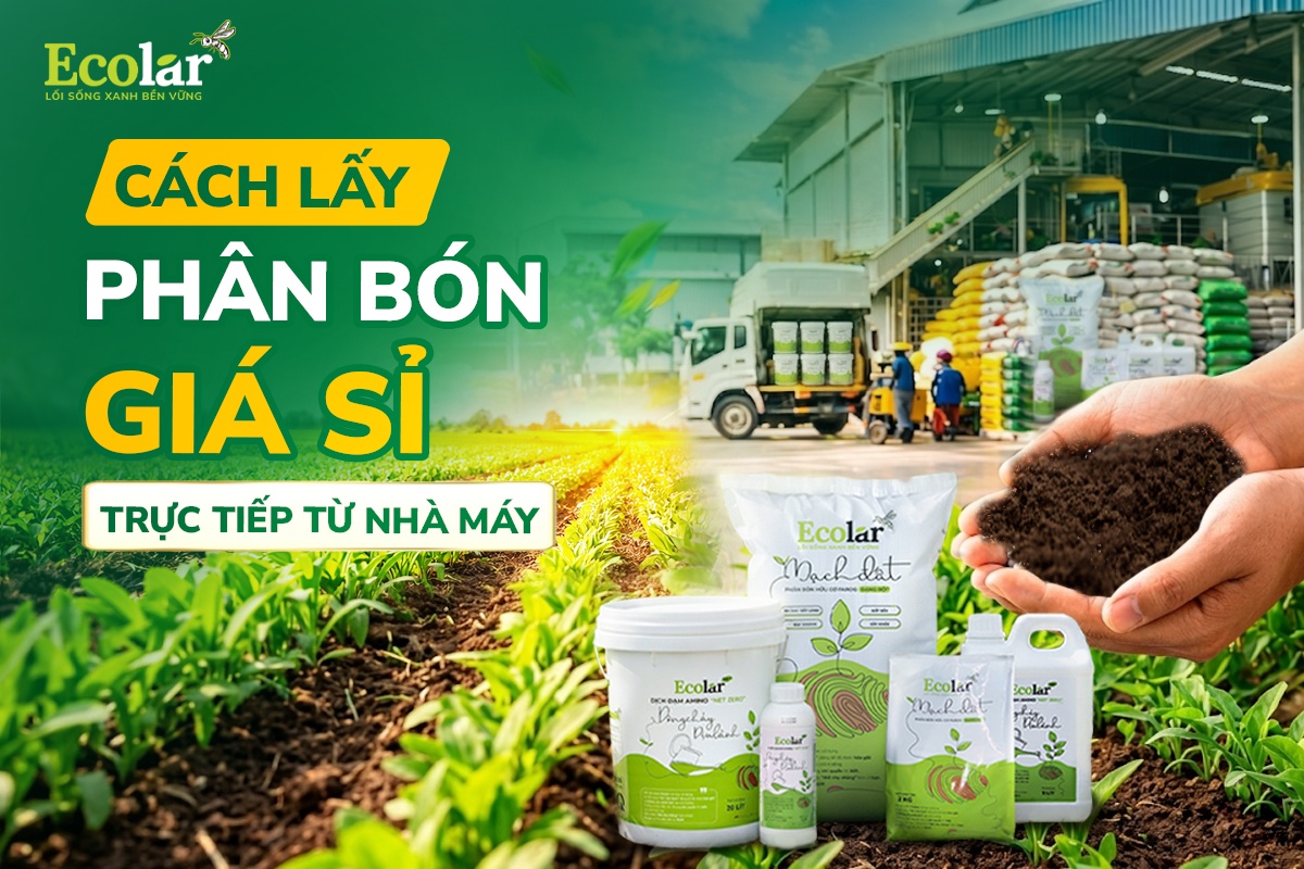 Cách Lấy Phân Bón Giá Sỉ Trực Tiếp Từ Nhà Máy