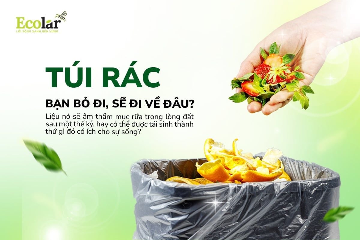 So Sánh Phương Pháp Xử Lý 1 Tấn Rác Bằng BSFly Và Chôn Lấp