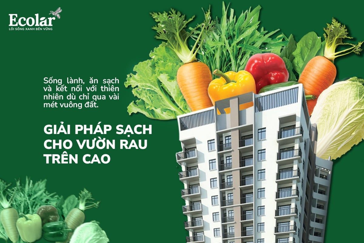 Giải Pháp Sạch Cho Vườn Rau Trên Cao: Phân BSFly Thay Thế Phân Hóa Học