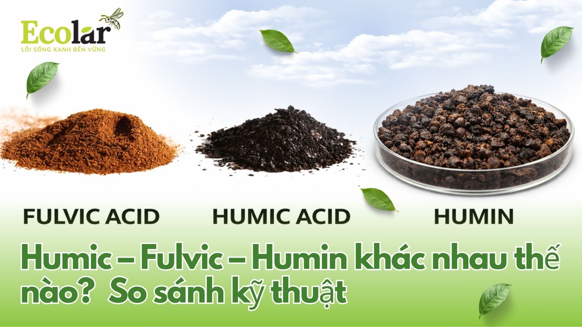 Humic – Fulvic – Humin khác nhau thế nào? So sánh kỹ thuật