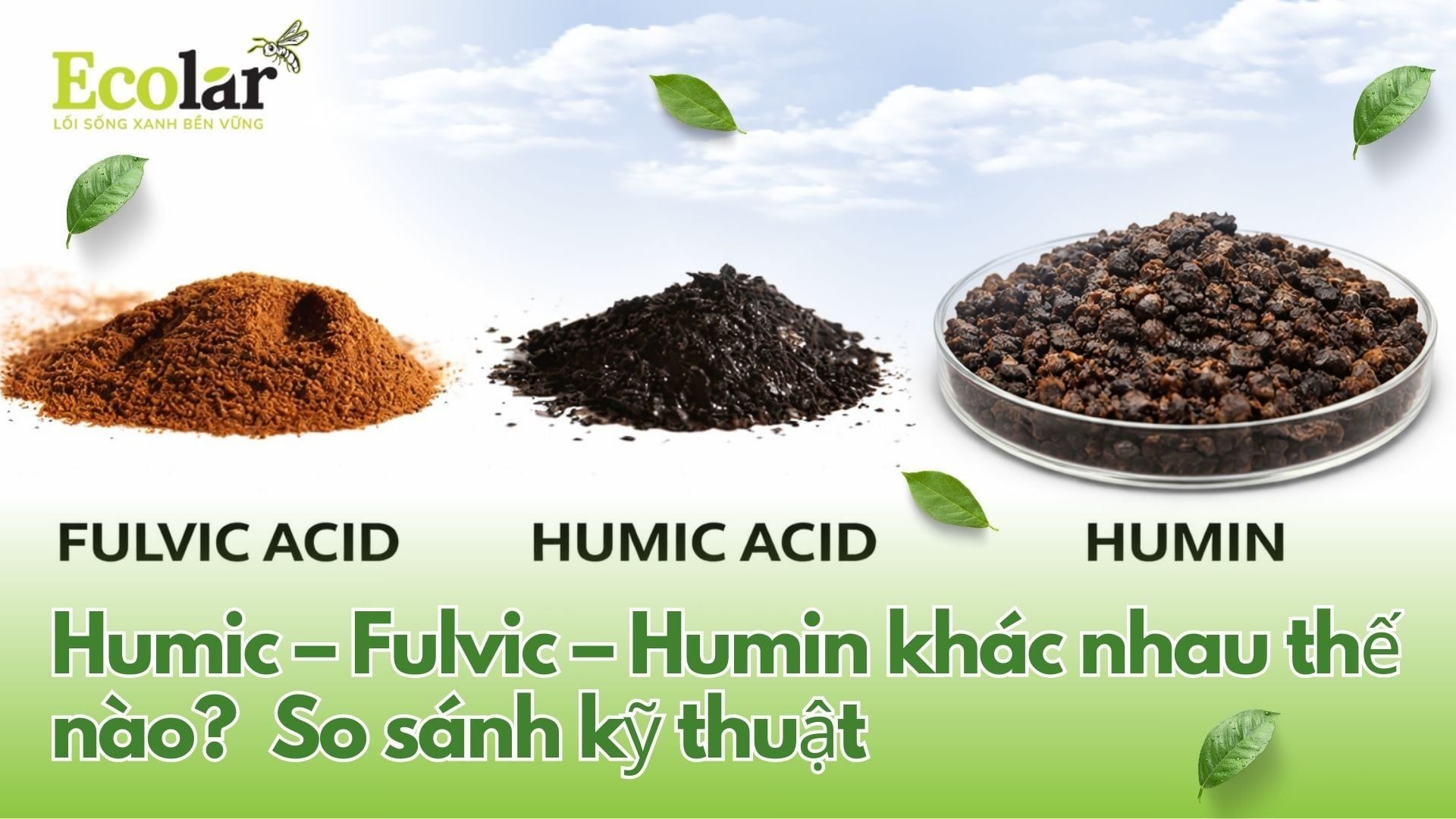 Humic – Fulvic – Humin khác nhau thế nào? So sánh kỹ thuật
