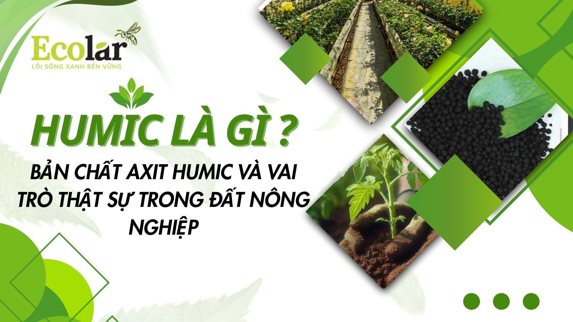 Humic là gì? Bản chất axit humic và vai trò thật sự trong đất nông nghiệp