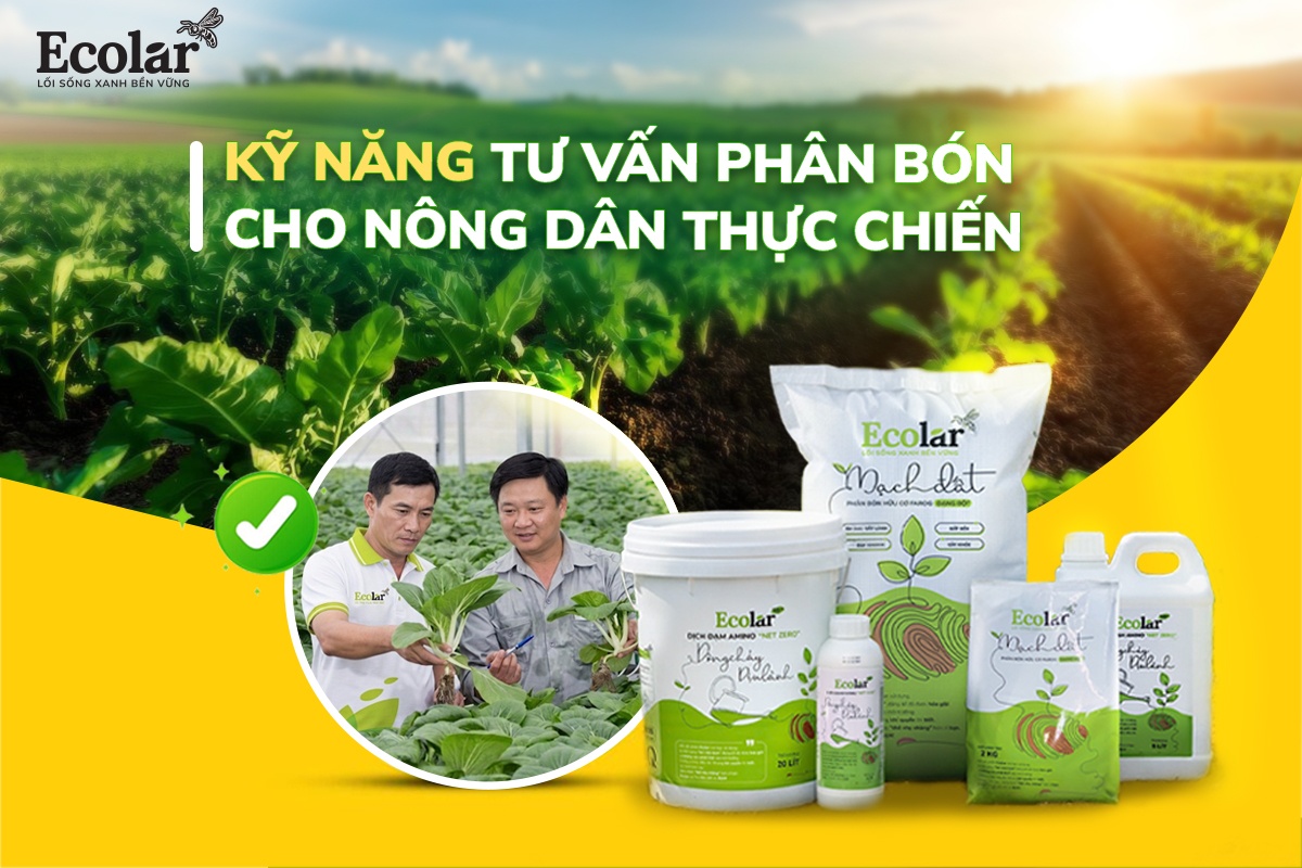 Kỹ Năng Tư Vấn Phân Bón Cho Nông Dân Thực Chiến