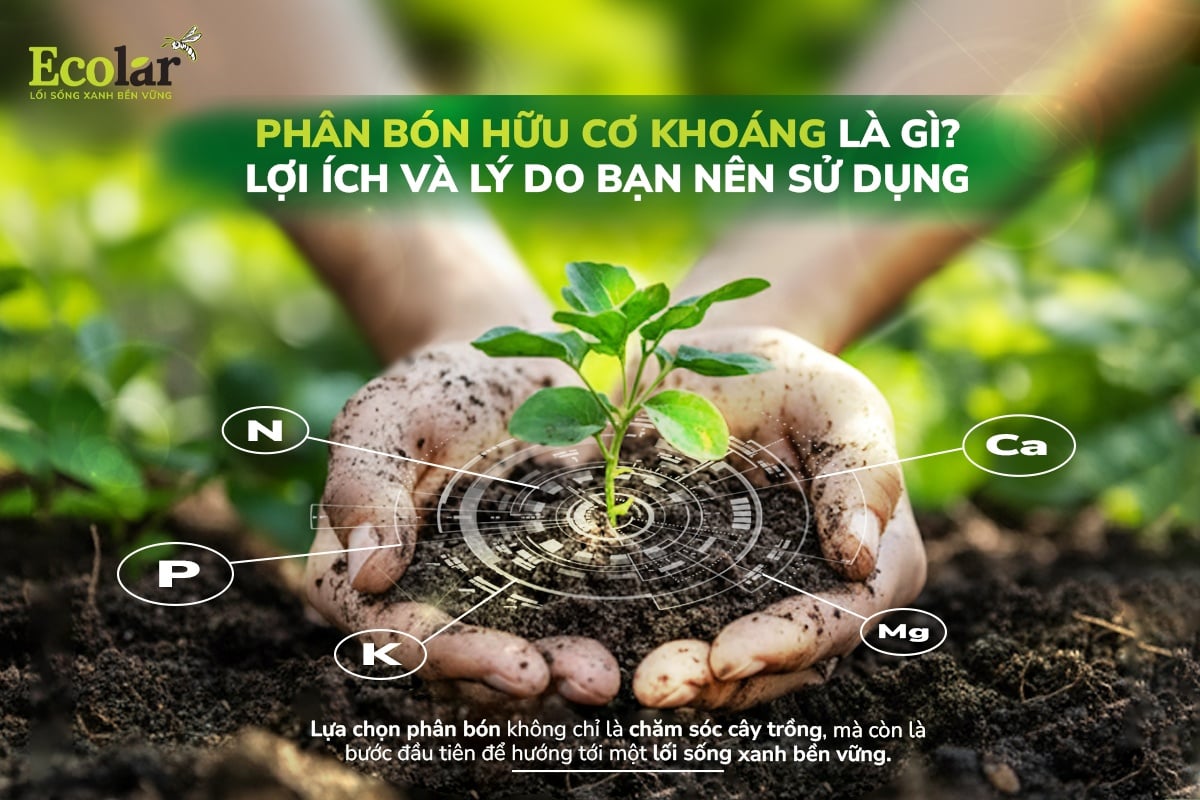 thumnail-phan-bon-huu-co-khoang-la-gi-loi-ich-va-ly-do-ban-nen-su-dung_b501e7da5ab242dd93281ac16575fd9d.jpg