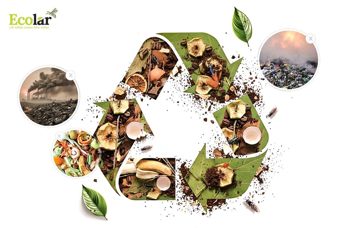 Trụ Cột E Của Esg – Kinh Tế Tuần Hoàn Sinh Học & Hành Trình Giảm Phát Thải Của Ecolar