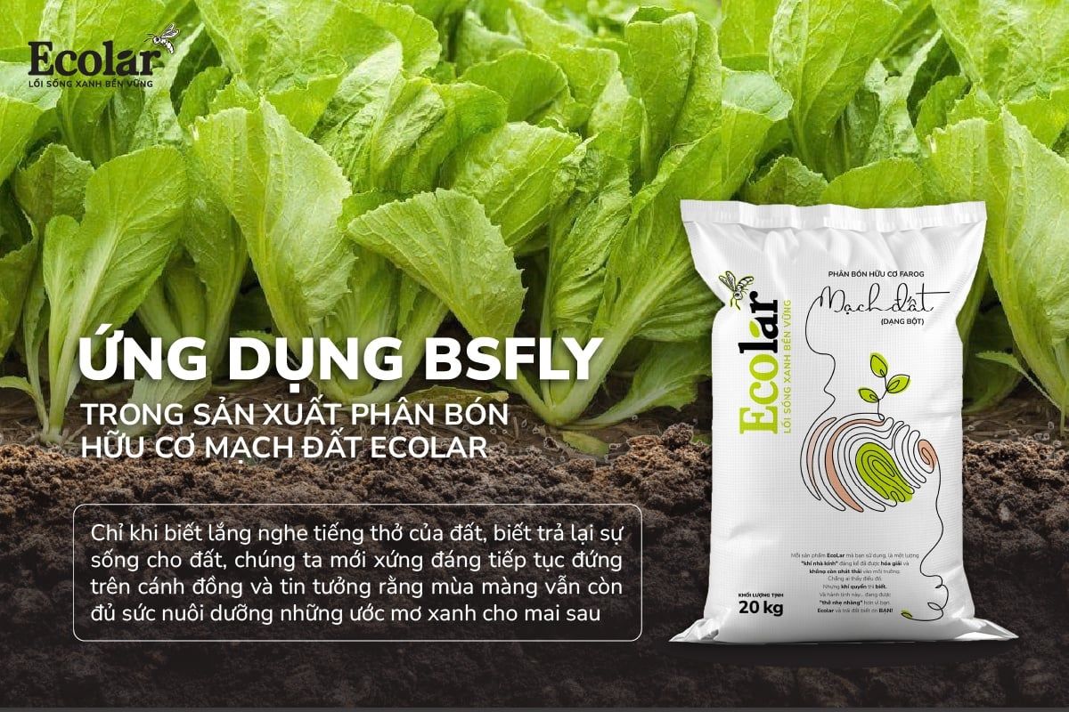 Ứng Dụng BSFly Trong Sản Xuất Phân Bón Hữu Cơ - Mạch Đất Ecolar