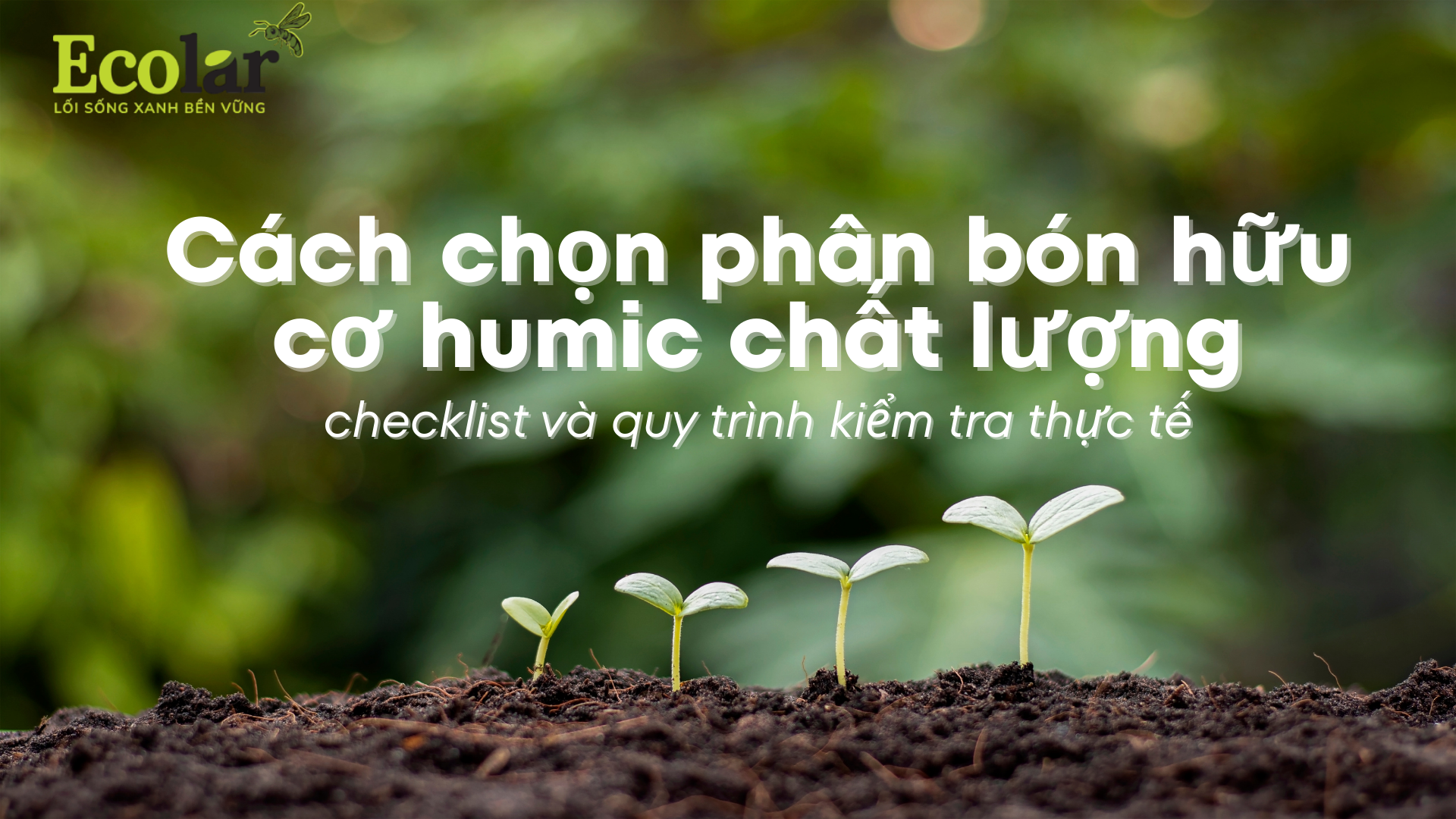 Cách chọn phân bón hữu cơ humic chất lượng: checklist và quy trình kiểm tra thực tế