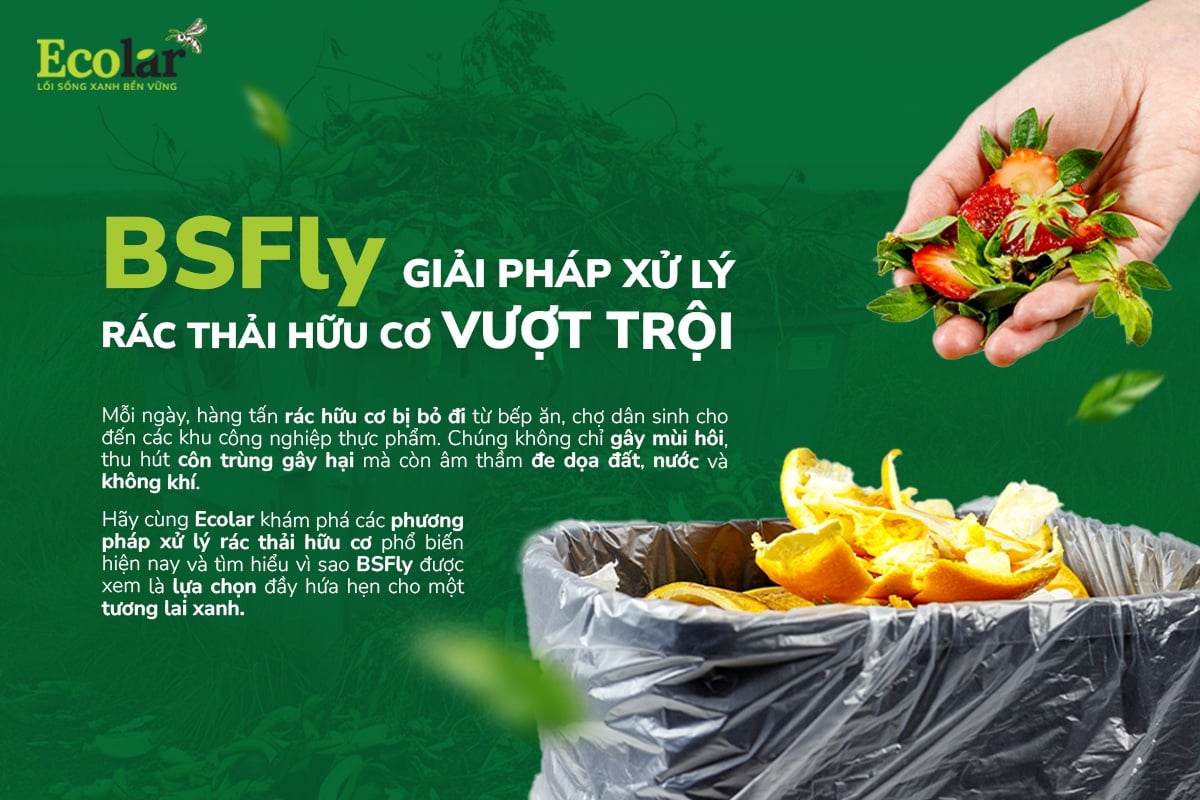 So Sánh Các Phương Pháp Xử Lý Rác Thải Hữu Cơ Hiện Nay Và Hướng Đi Hiệu Quả, Bền Vững Từ BSFly