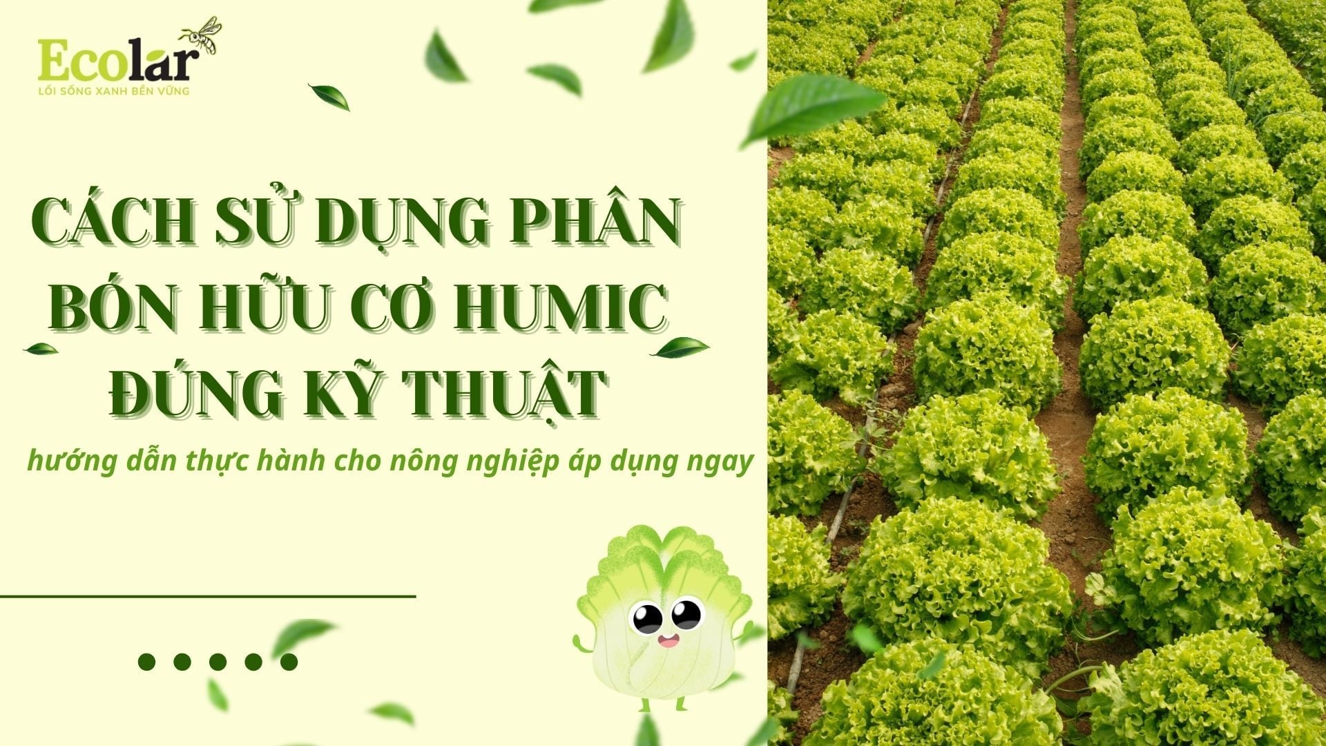 Cách sử dụng phân bón hữu cơ humic đúng kỹ thuật: hướng dẫn thực hành cho nông nghiệp áp dụng ngay