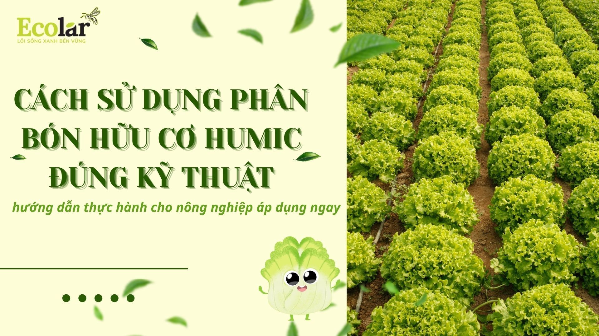 Cách sử dụng phân bón hữu cơ humic đúng kỹ thuật: hướng dẫn thực hành cho nông nghiệp áp dụng ngay