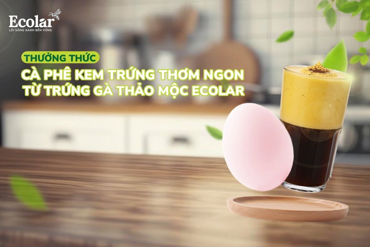 Thưởng Thức Cà Phê Kem Trứng Thơm Ngon Làm Từ Trứng Gà Thảo Mộc Ecolar