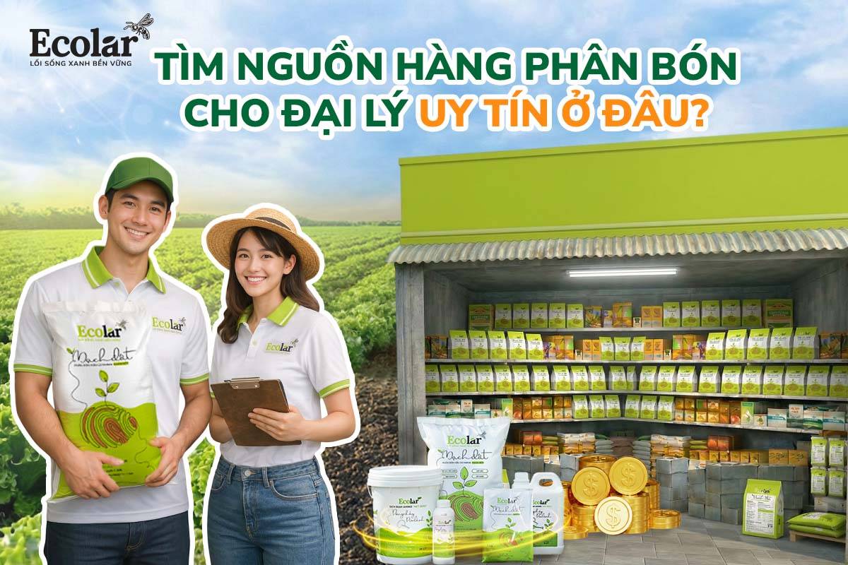 Tìm Nguồn Hàng Phân Bón Cho Đại Lý Uy Tín Ở Đâu?