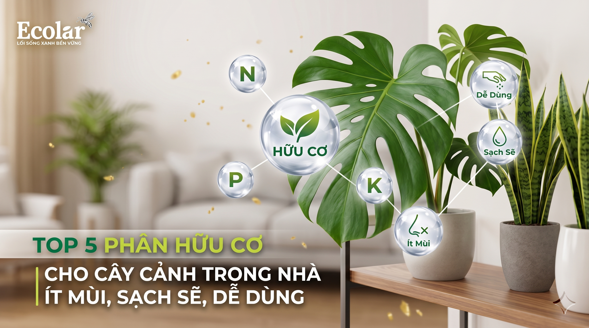 Top 5 Phân Hữu Cơ Cho Cây Cảnh Trong Nhà Ít Mùi, Sạch Sẽ, Dễ Dùng