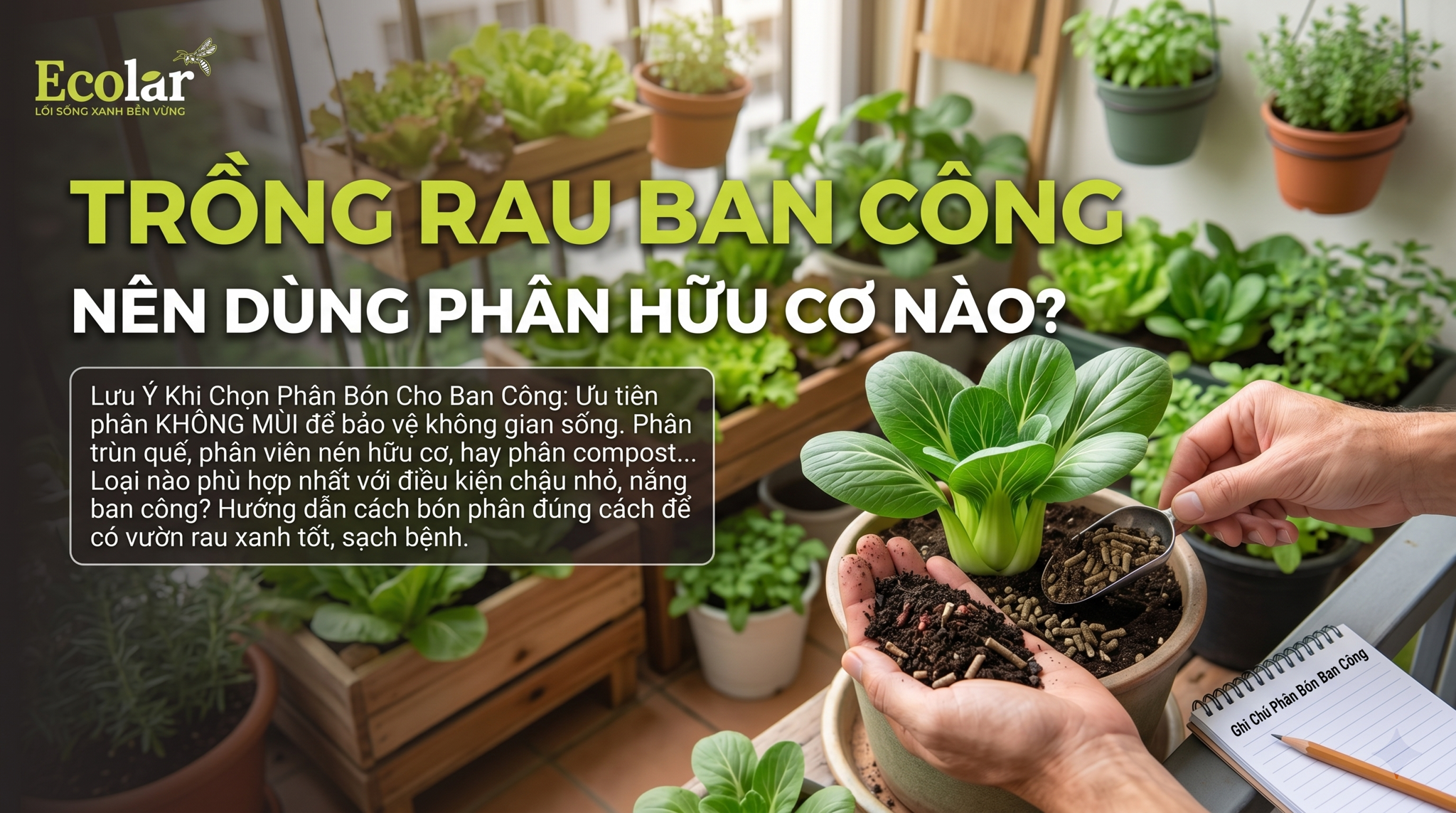 Trồng Rau Ban Công Nên Dùng Phân Hữu Cơ Nào Tốt Nhất?