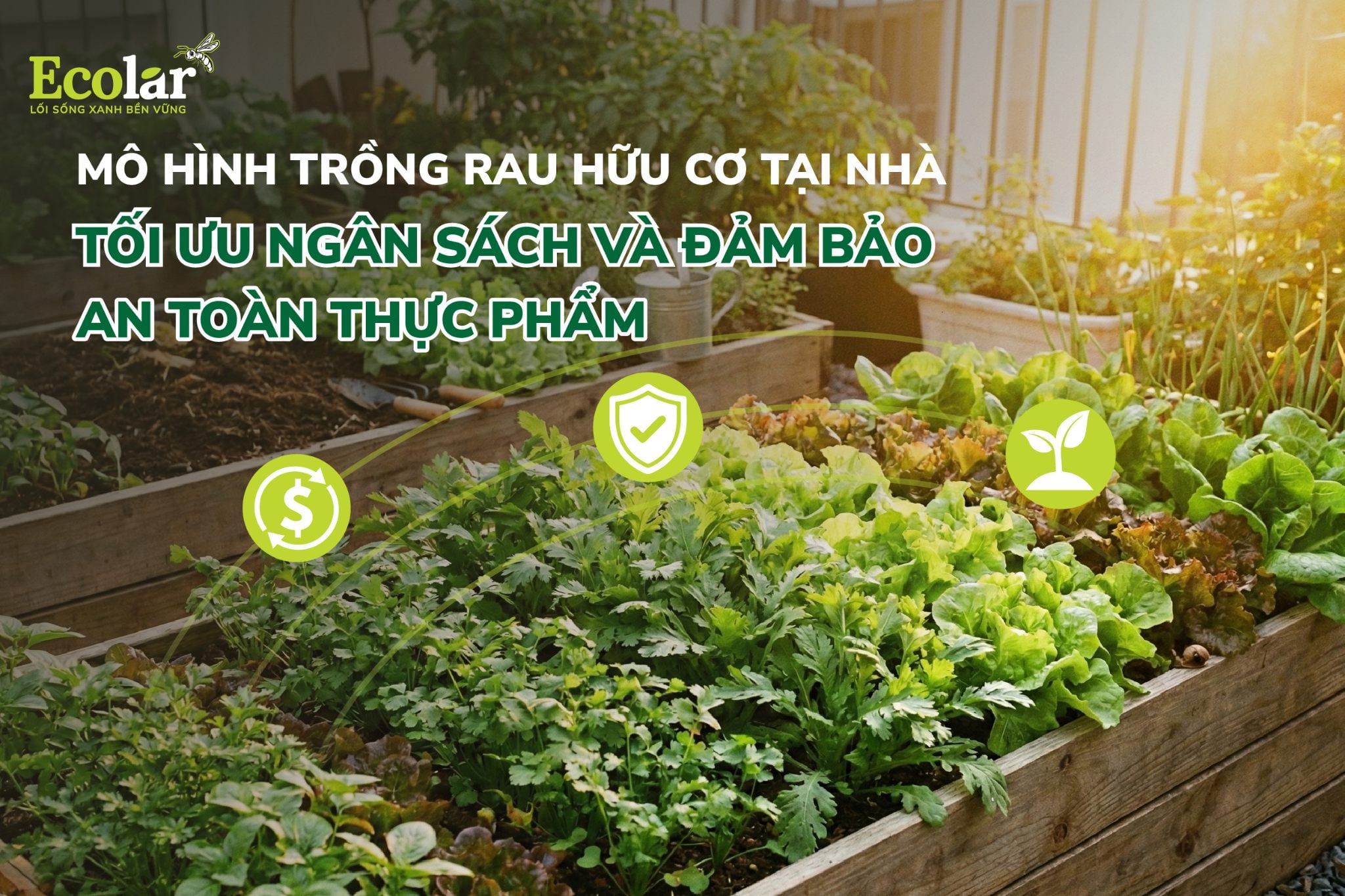 Mô hình trồng rau hữu cơ tại nhà tối ưu ngân sách và đảm bảo an toàn thực phẩm