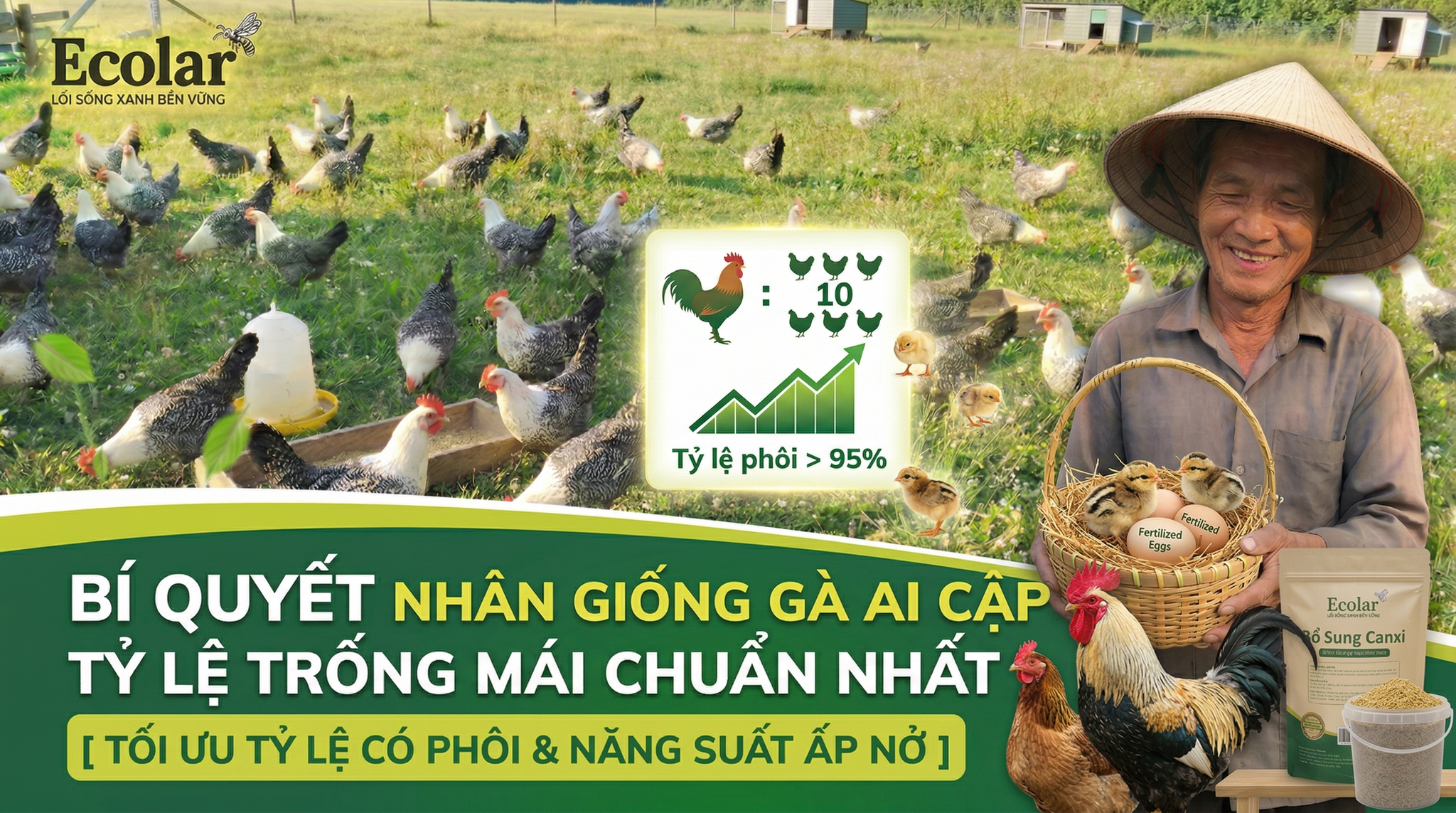 Tỷ Lệ Trống Mái Khi Nhân Giống: Công Thức Vàng Cho Tỷ Lệ Thụ Tinh Cao