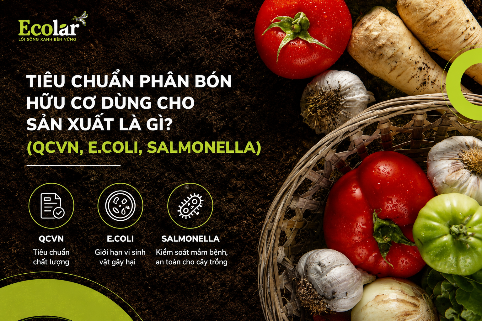 Tiêu chuẩn phân bón hữu cơ dùng cho sản xuất là gì? (QCVN, E.coli, Salmonella)