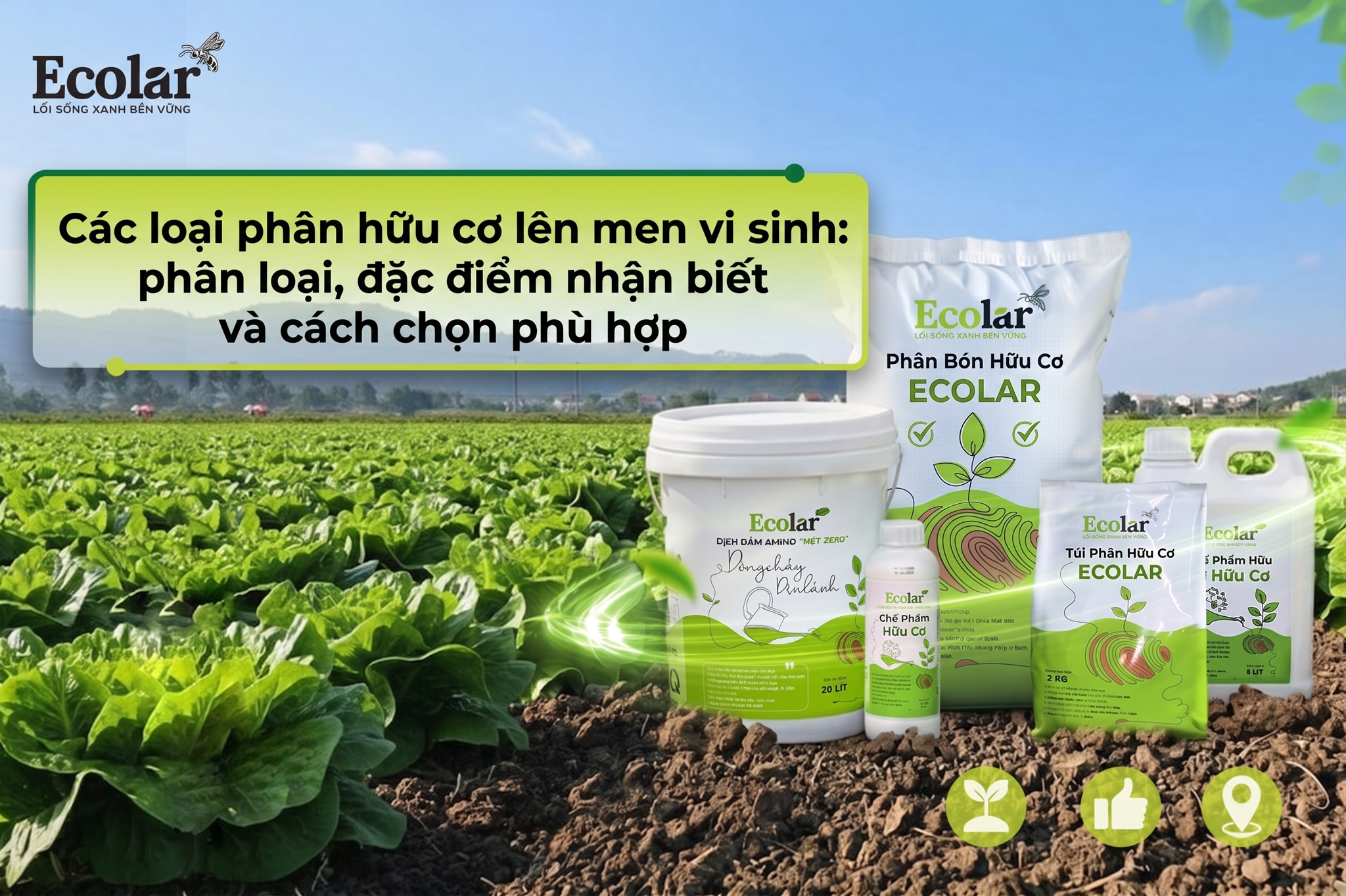 Các loại phân hữu cơ lên men vi sinh: phân loại, đặc điểm nhận biết và cách chọn phù hợp