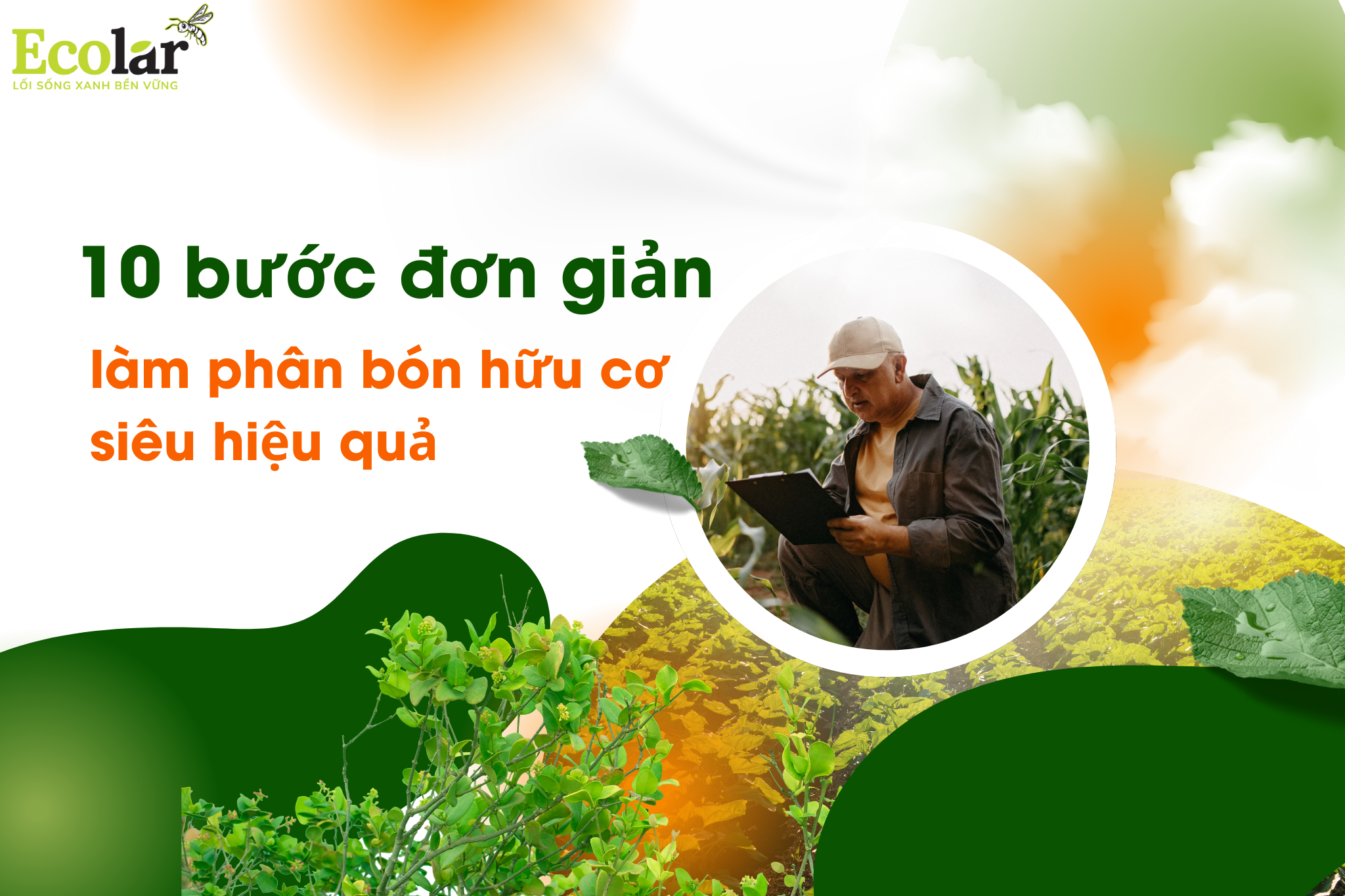 10 Bước Ủ Phân Hữu Cơ Đơn Giản – Checklist Thực Hành Tại Nhà