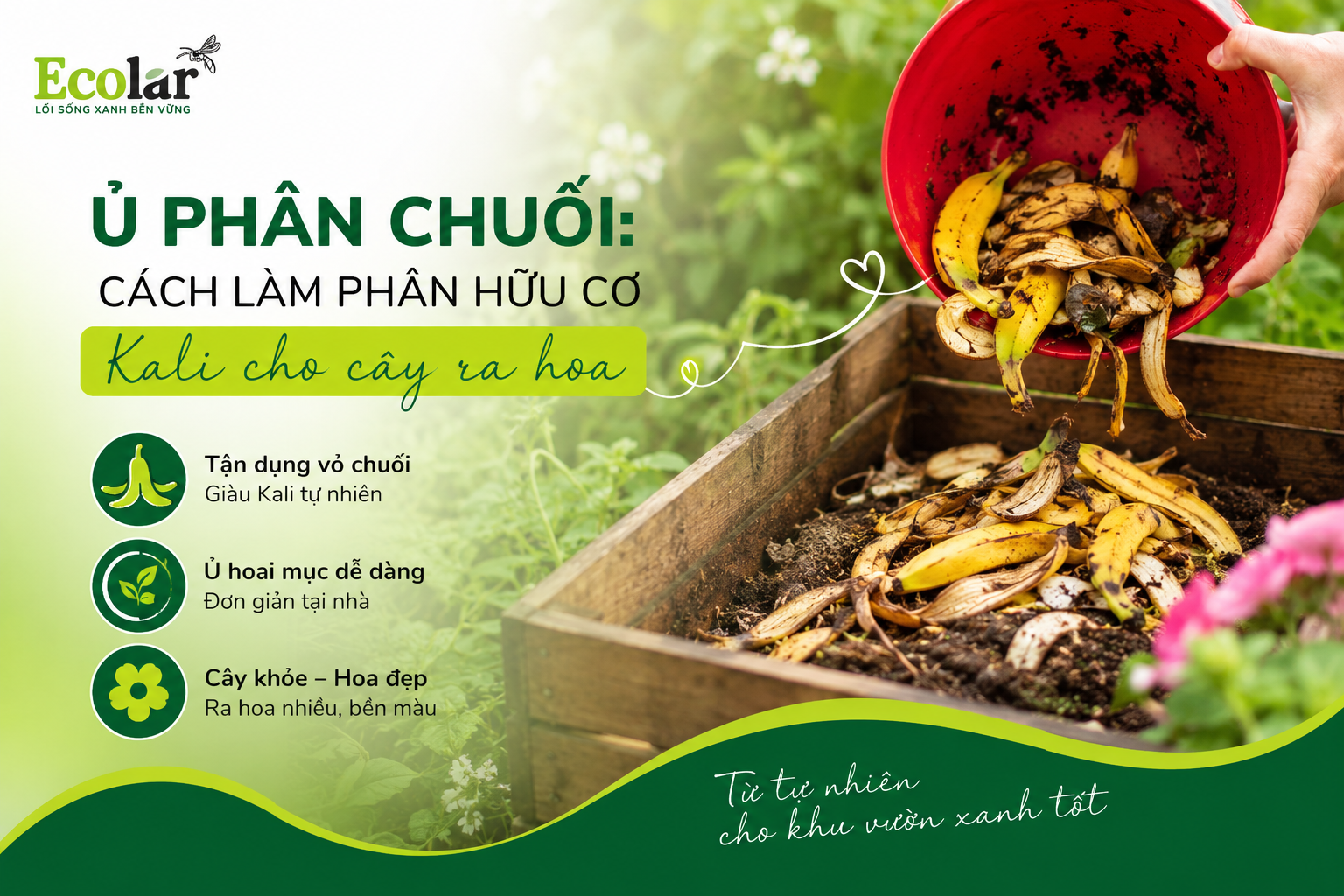 Ủ phân chuối: Cách làm phân hữu cơ Kali cho cây ra hoa