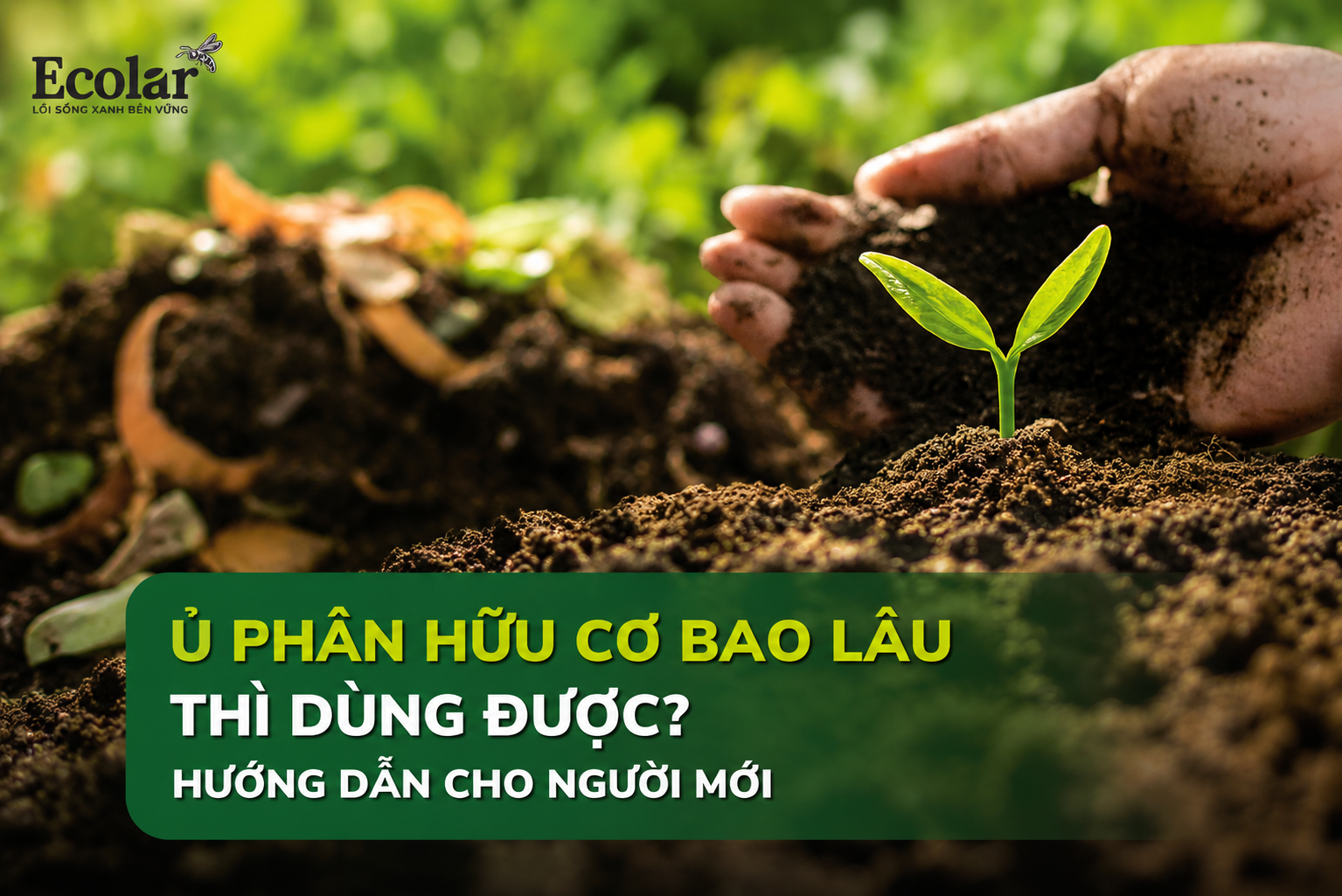 Ủ Phân Hữu Cơ Bao Lâu Thì Dùng Được? Hướng Dẫn Cho Người Mới