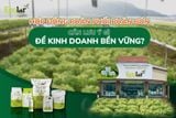 Hợp Đồng Phân Phối Phân Bón Cần Lưu Ý Gì Để Kinh Doanh Bền Vững?