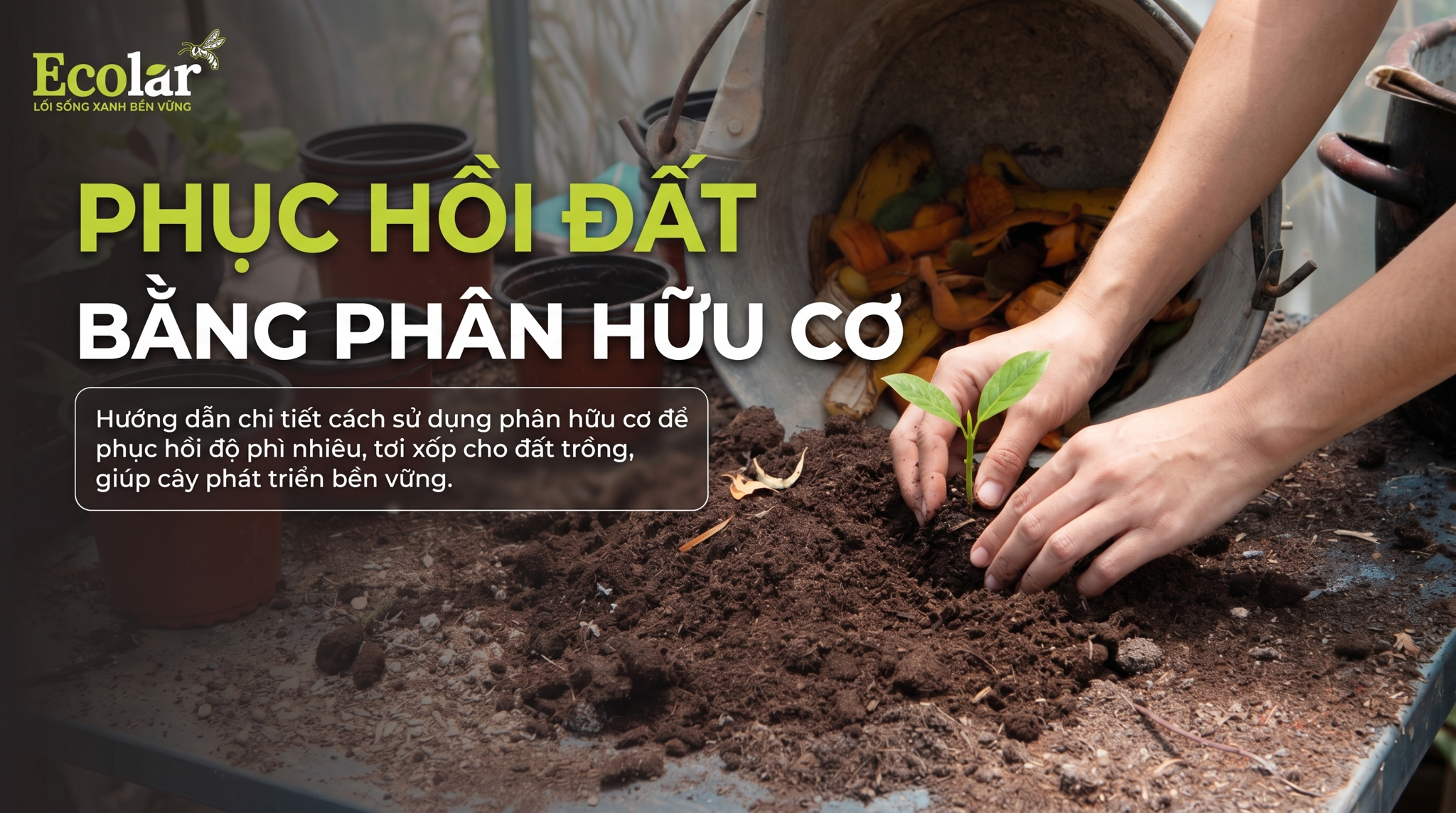 Cách sử dụng phân hữu cơ để phục hồi đất: Quy trình thực tế, đánh giá và theo dõi