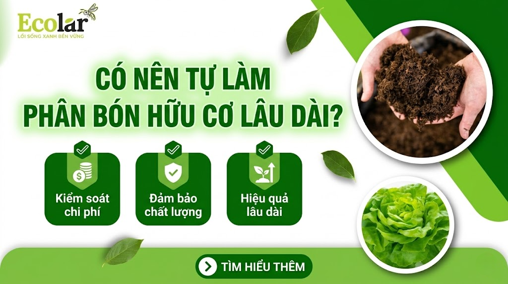 Có nên tự làm phân bón hữu cơ lâu dài không? (Đánh giá lợi - hại & khung quyết định thực tế)