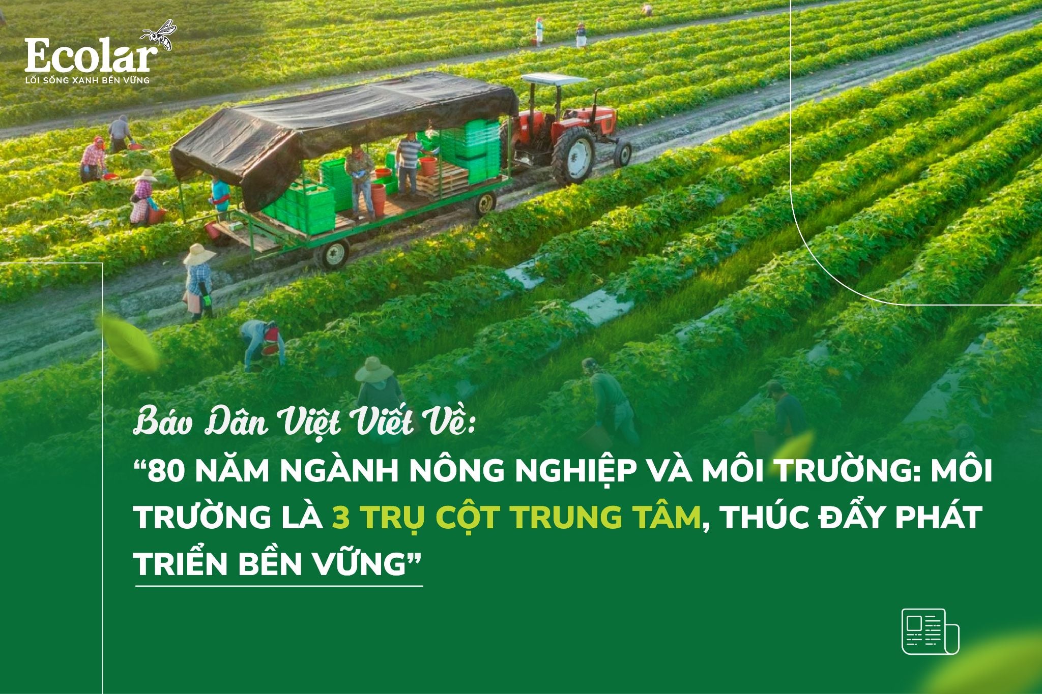 80 năm ngành Nông nghiệp và Môi trường: Môi trường là 3 trụ cột trung tâm, thúc đẩy phát triển bền vững