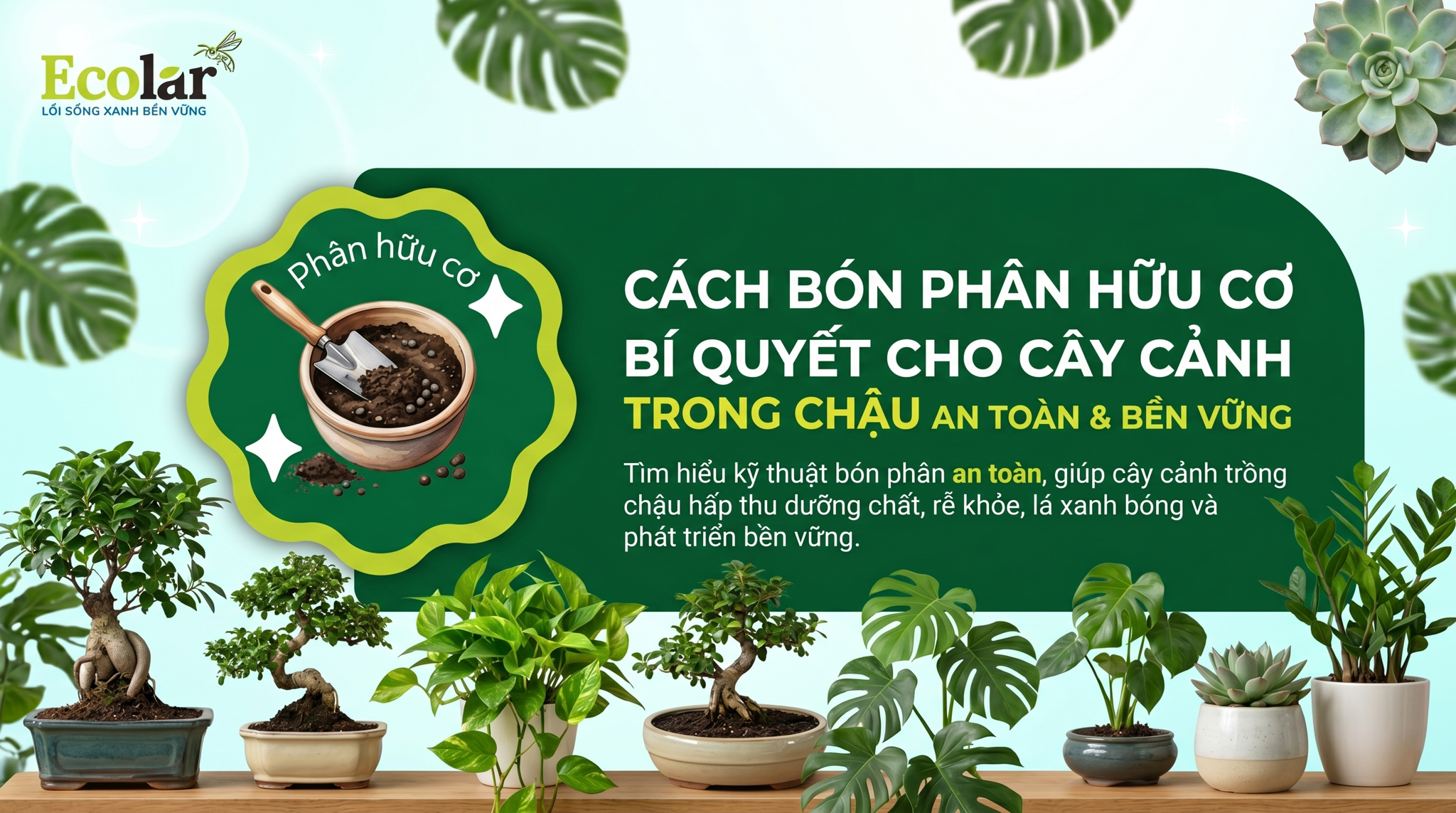 Cách Bón Phân Hữu Cơ Cho Cây Cảnh Trong Chậu: Hướng Dẫn Toàn Tập Cho Người Mới Bắt Đầu