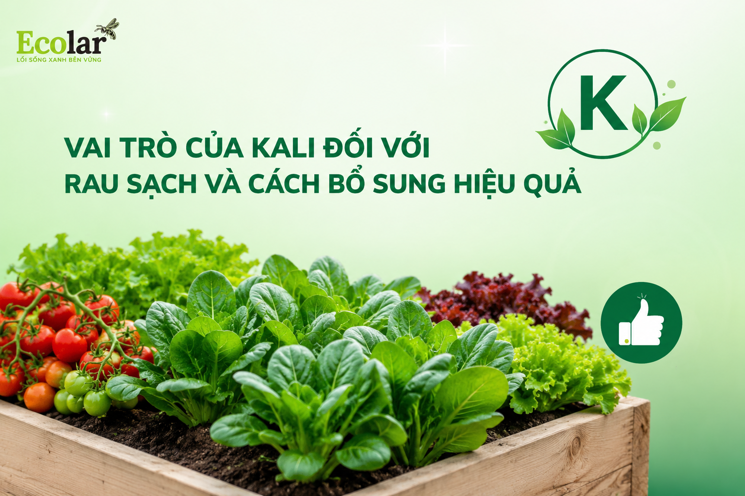 Vai Trò Của Kali Đối Với Rau Sạch Và Cách Bổ Sung Hiệu Quả