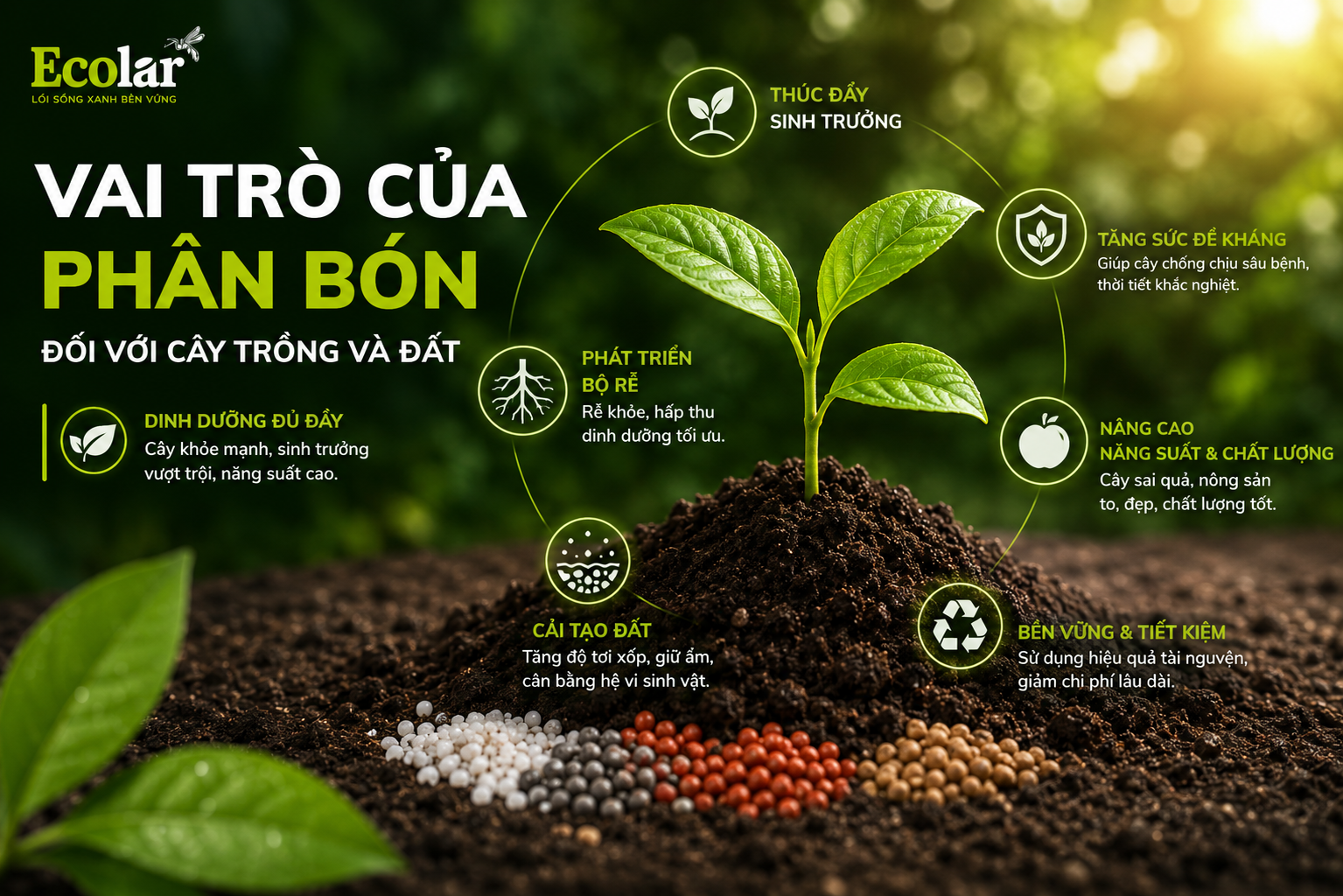 Vai Trò Của Phân Bón Đối Với Cây Trồng Và Đất