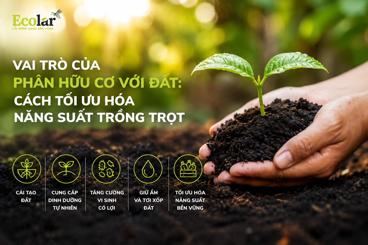 Vai Trò Của Phân Hữu Cơ Với Đất: Cách Tối Ưu Hóa Năng Suất Trồng Trọt