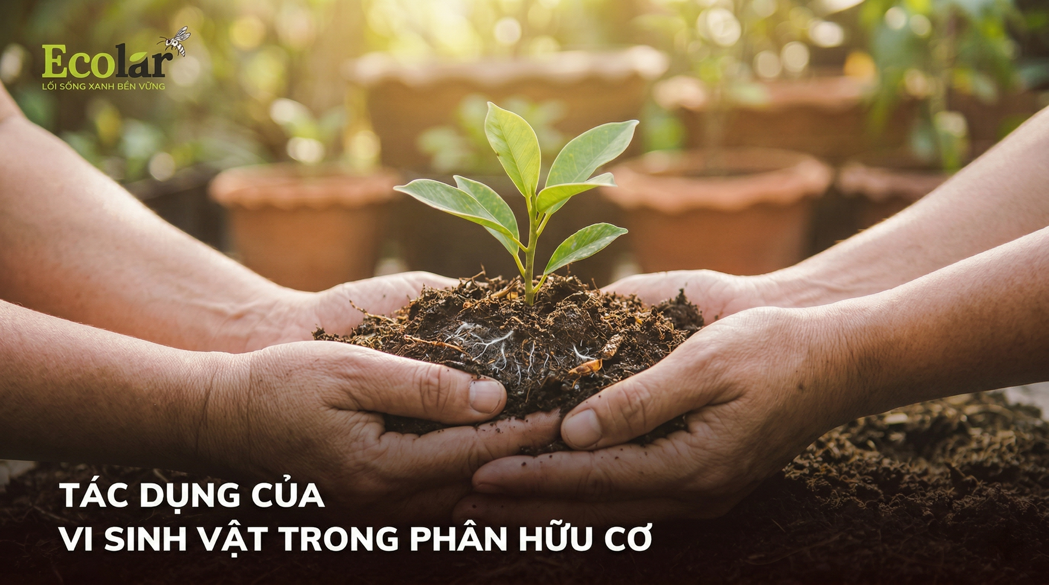 Vi Sinh Vật Trong Phân Hữu Cơ Vi Sinh Có Tác Dụng Gì? Giải Mã 3 Vai Trò Cốt Lõi