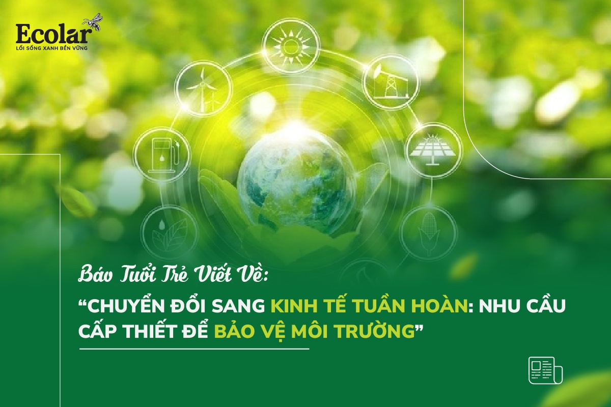 Chuyển Đổi Sang Kinh Tế Tuần Hoàn: Nhu Cầu Cấp Thiết Để Bảo Vệ Môi Trường