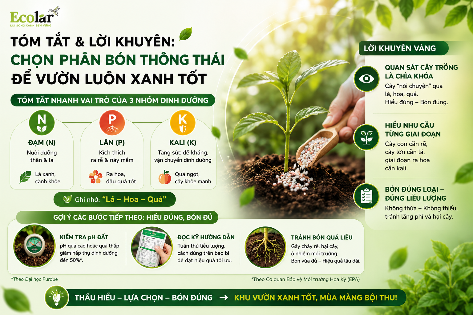 Tóm Tắt & Lời Khuyên: Chọn Phân Bón Thông Thái Để Vườn Luôn Xanh Tốt