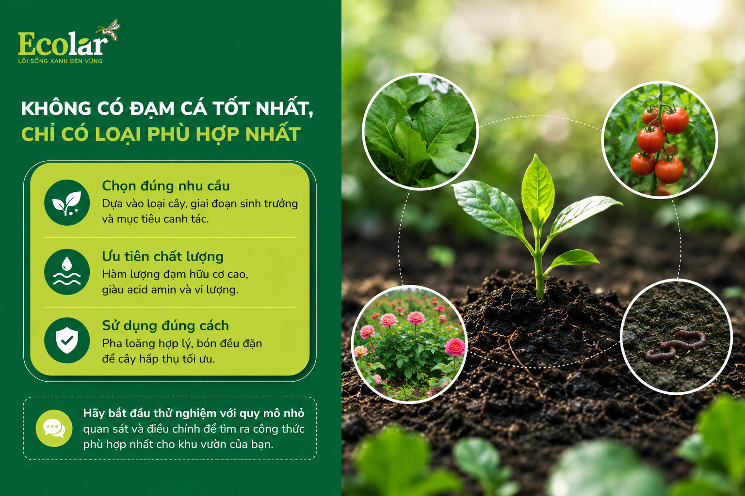 Kết Luận: Không Có Đạm Cá Tốt Nhất, Chỉ Có Loại Phù Hợp Nhất
