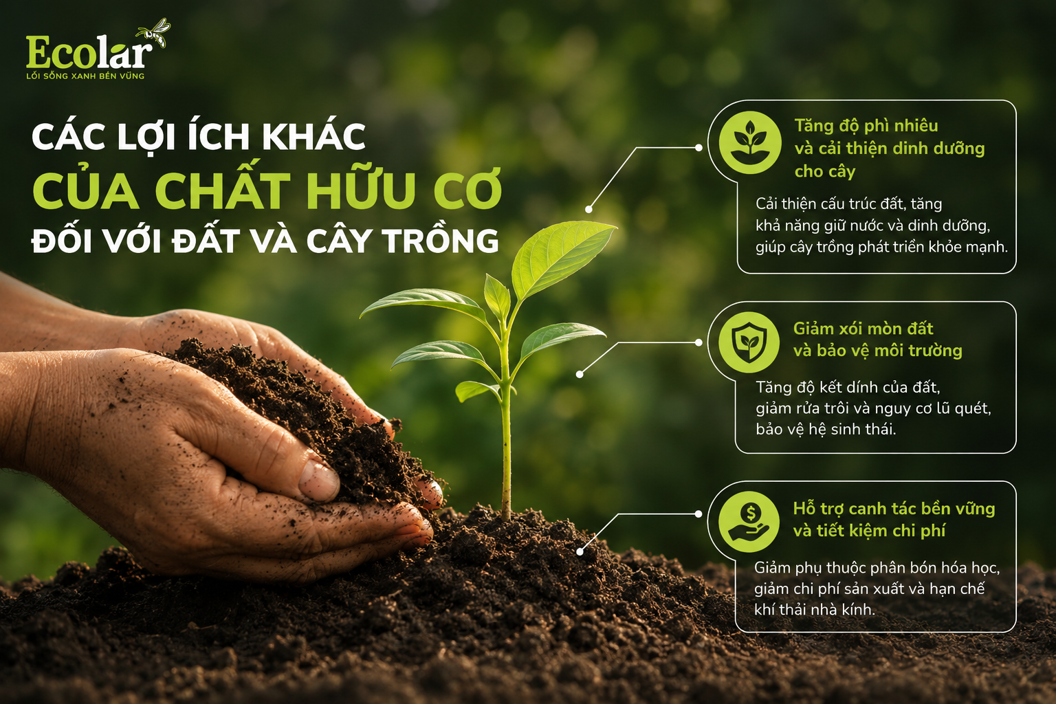 Các Lợi Ích Khác Của Chất Hữu Cơ Đối Với Đất Và Cây Trồng