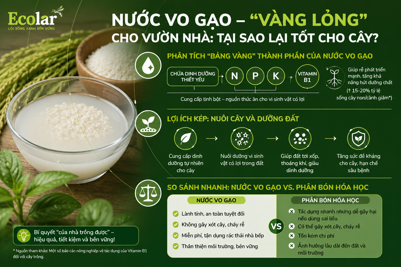 Nước Vo Gạo - 'Vàng Lỏng' Cho Vườn Nhà: Tại Sao Lại Tốt Cho Cây?