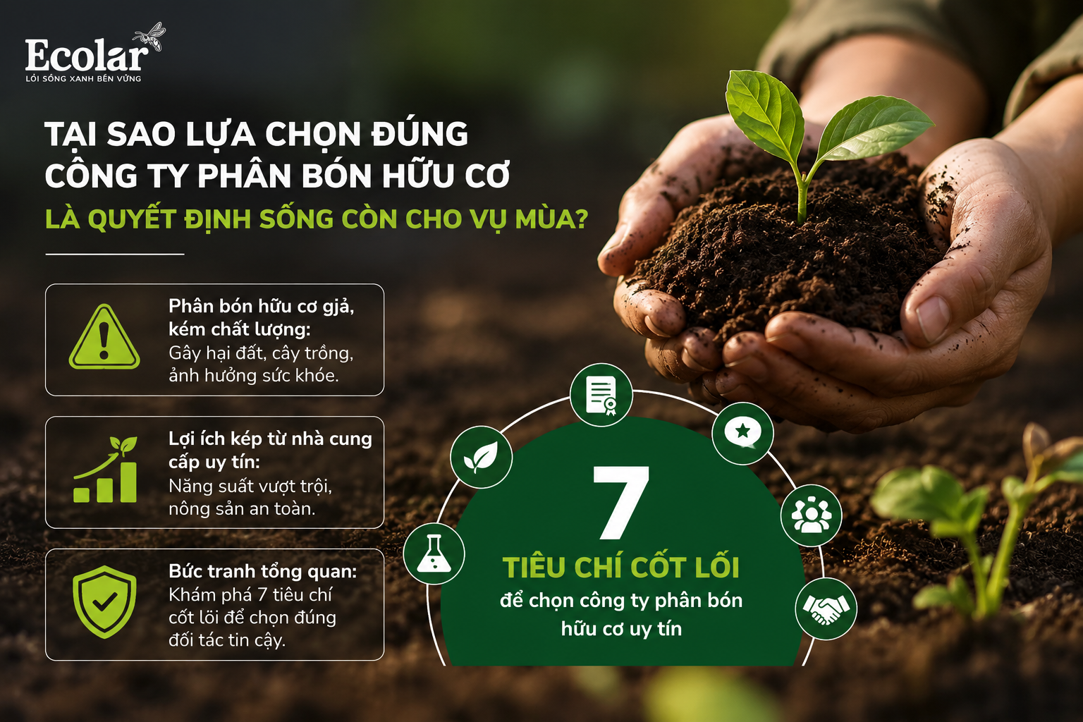 Tại Sao Lựa Chọn Đúng Công Ty Phân Bón Hữu Cơ Là Quyết Định Sống Còn Cho Vụ Mùa?