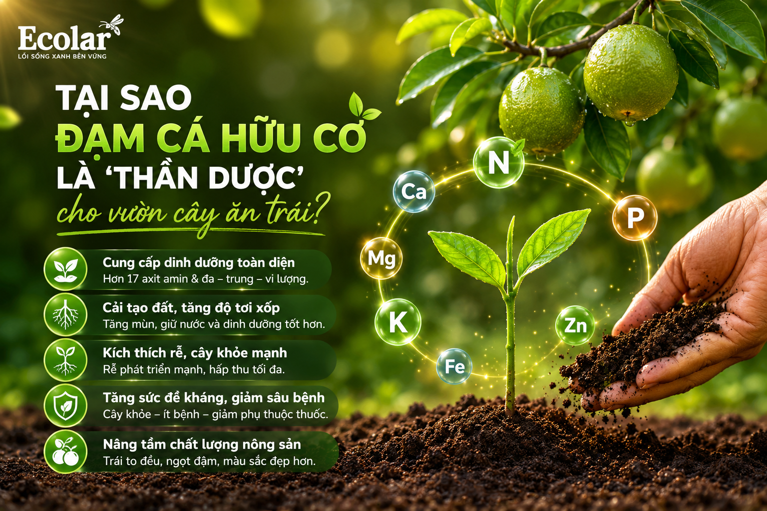 Tại Sao Đạm Cá Hữu Cơ Là 'Thần Dược' Cho Vườn Cây Ăn Trái?
