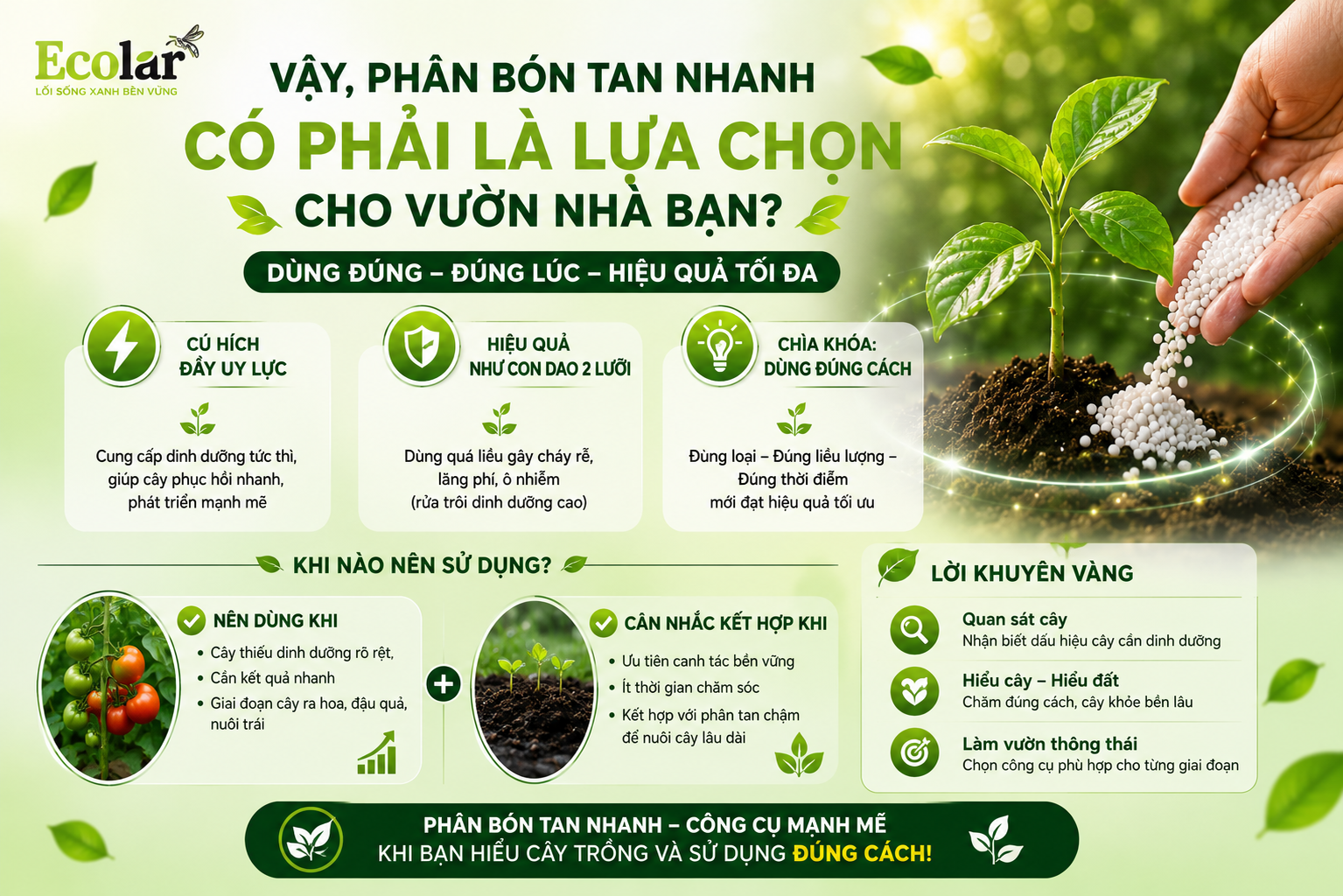 Vậy, Phân Bón Tan Nhanh Có Phải Là Lựa Chọn Cho Vườn Nhà Bạn?