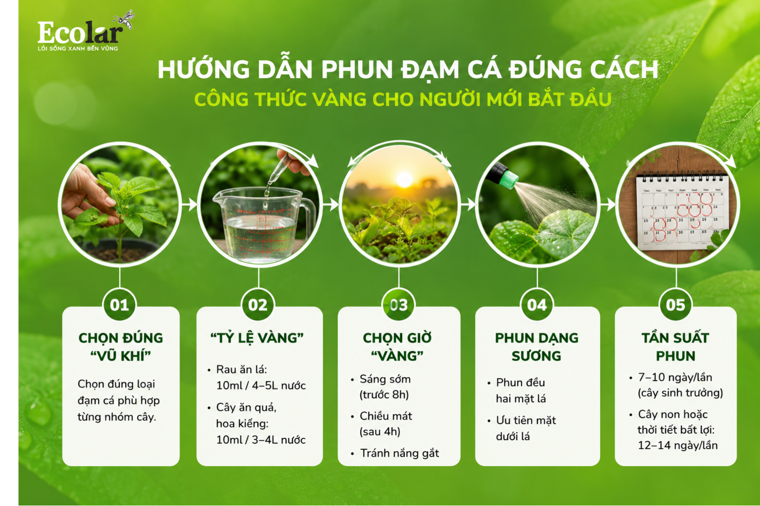 Hướng Dẫn Phun Đạm Cá Đúng Cách: Công Thức Vàng Cho Người Mới Bắt Đầu
