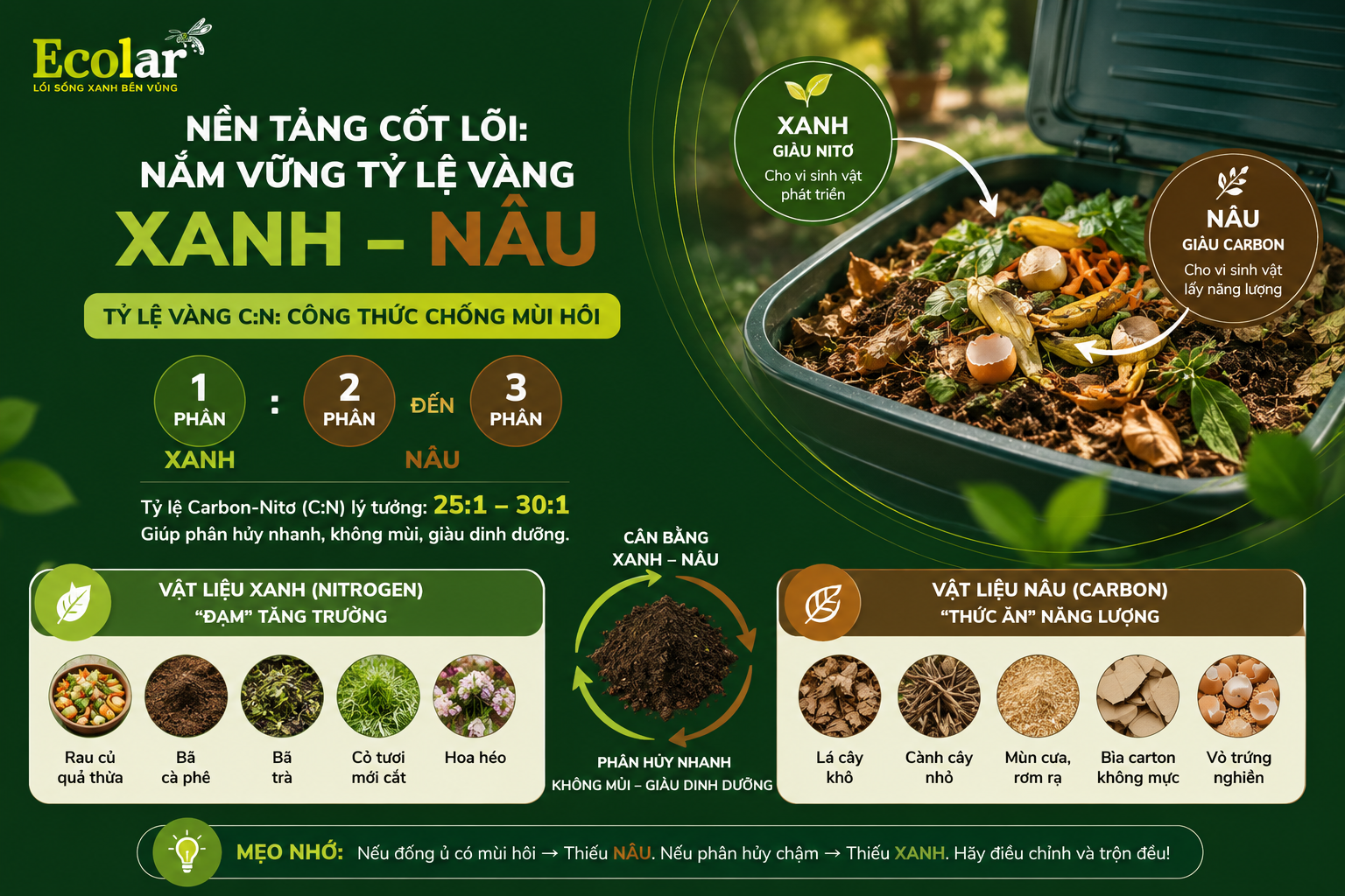Nền Tảng Cốt Lõi: Nắm Vững Tỷ Lệ Vàng XANH - NÂU