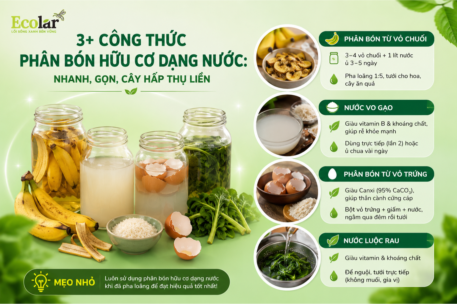 3+ Công Thức Phân Bón Hữu Cơ Dạng Nước: Nhanh, Gọn, Cây Hấp Thụ Liền