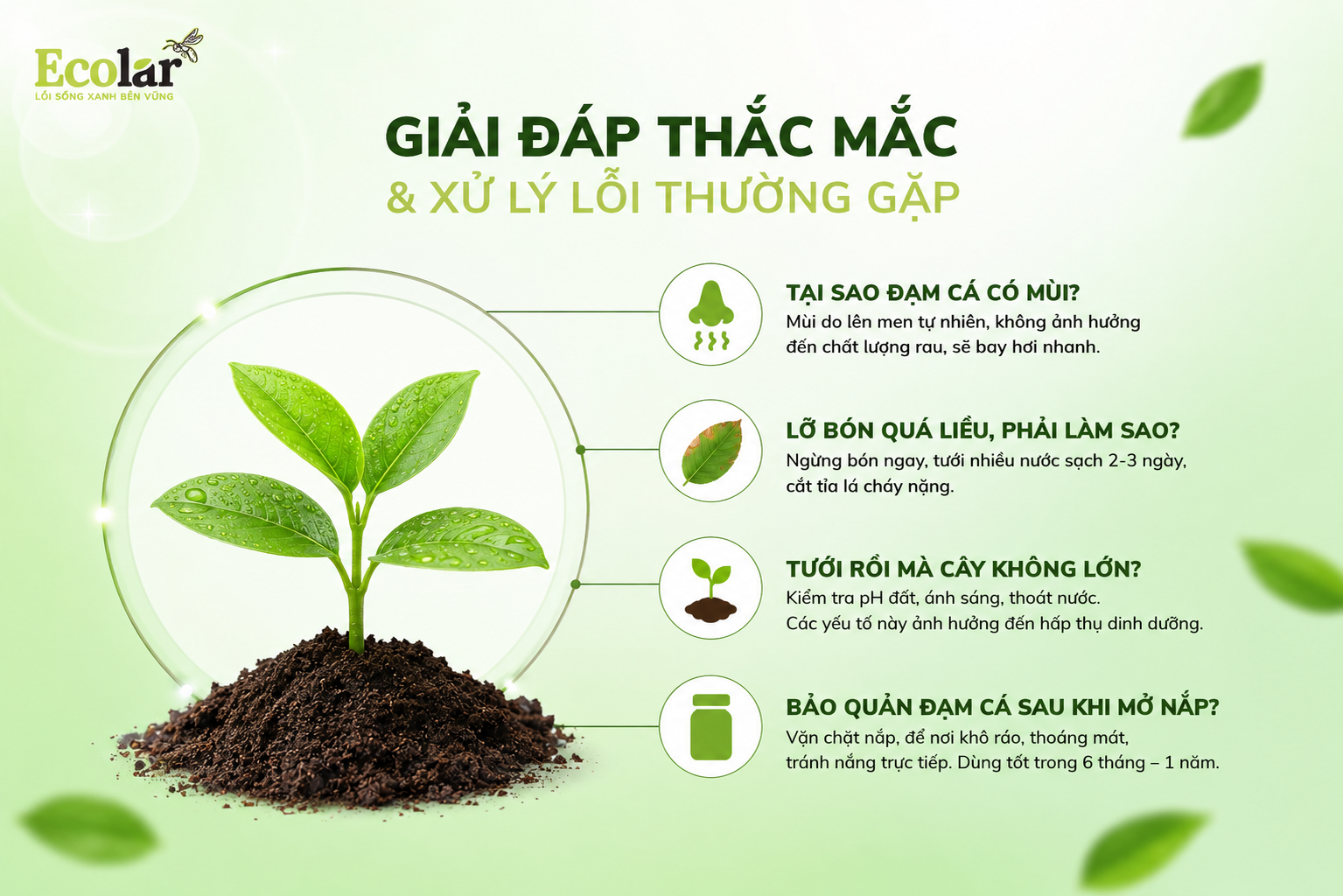 Giải Đáp Thắc Mắc & Xử Lý Lỗi Thường Gặp